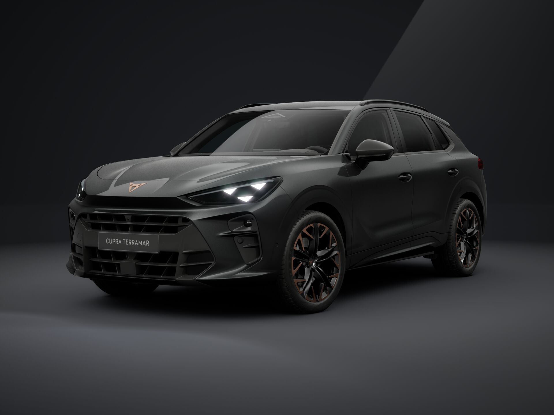 Cupra Terramar 2.0 TSI 204 PS DSG 4Drive 2026