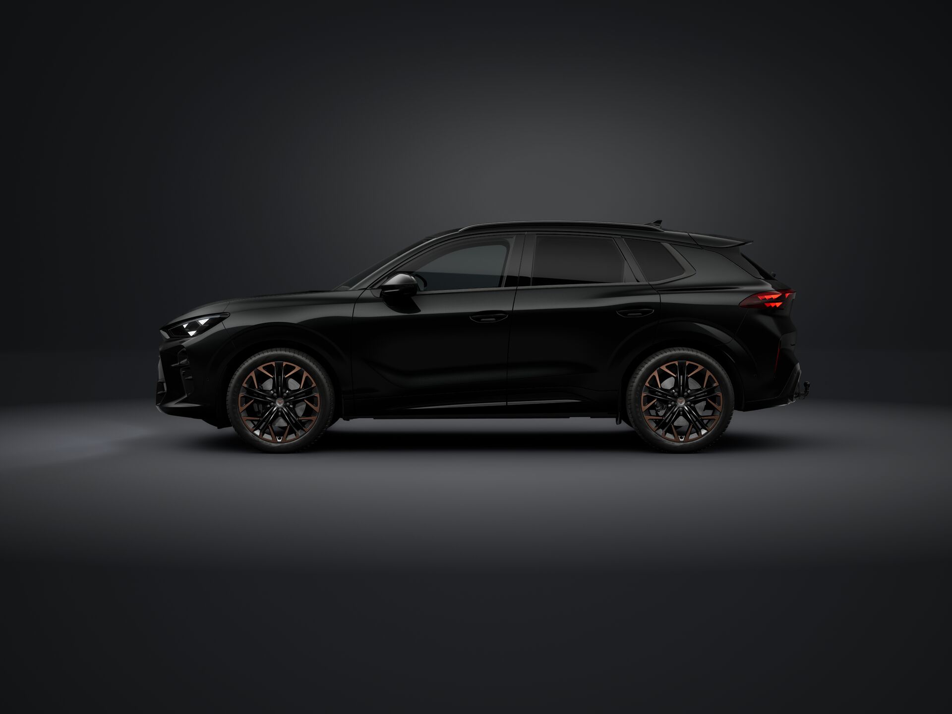 Bild eines Terramar 2.0 TSI 204 PS DSG 4Drive