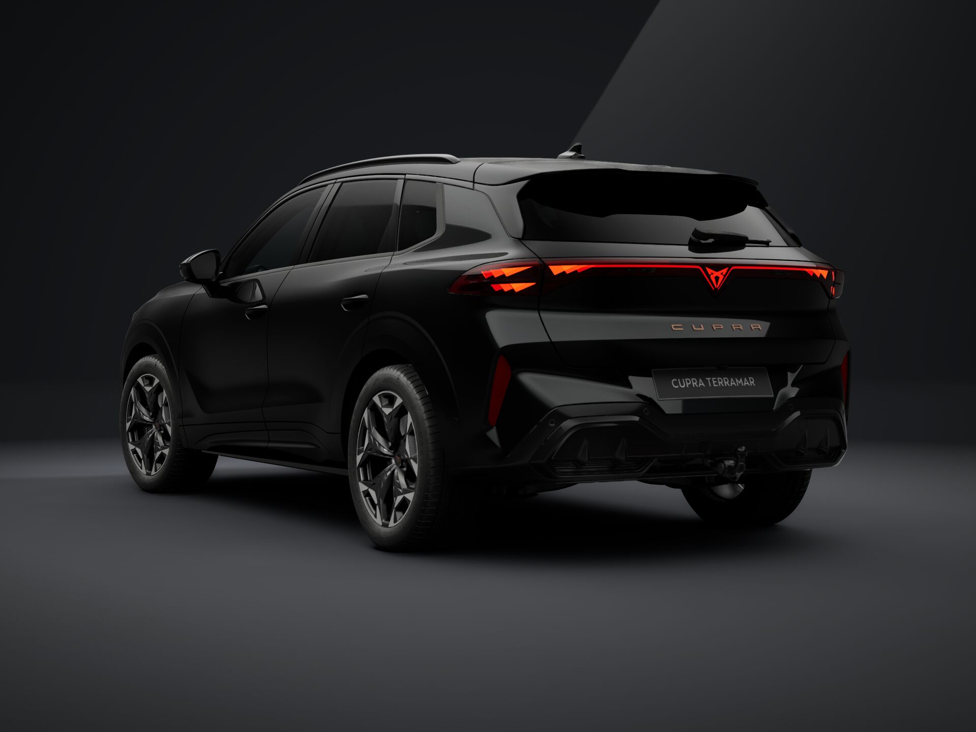 Bild eines Terramar 2.0 TSI 204 PS DSG 4Drive