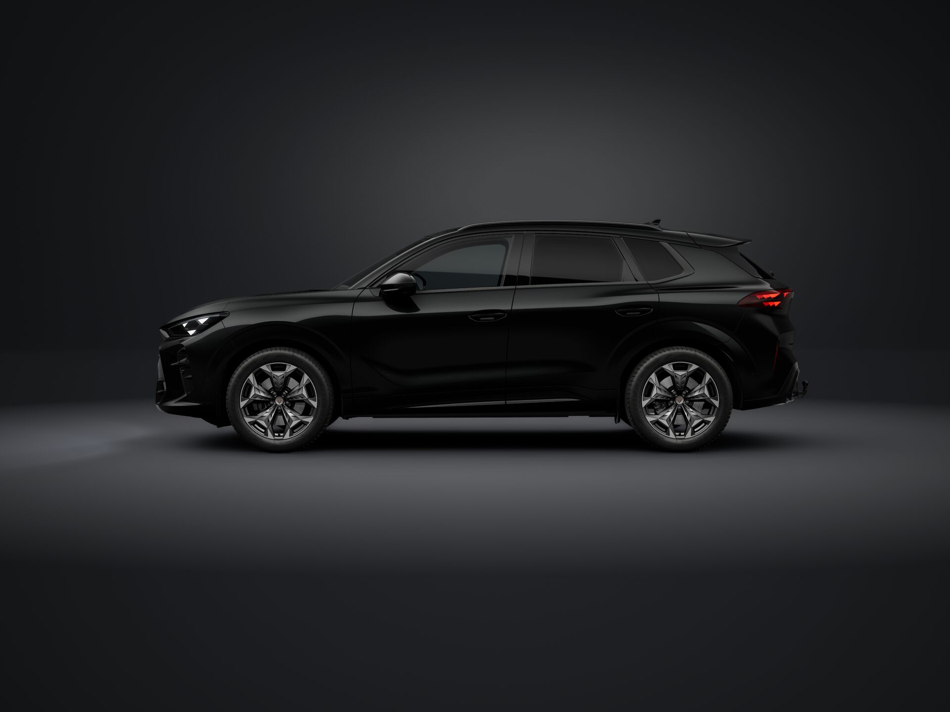 Bild eines Terramar 2.0 TSI 204 PS DSG 4Drive