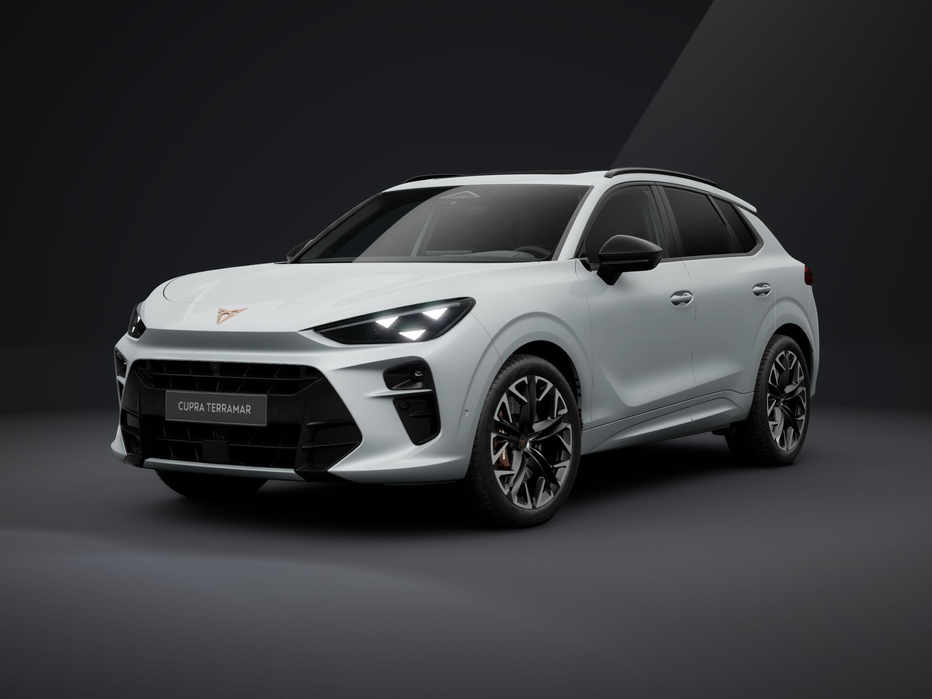 Bild eines Terramar VZ 2.0 TSI 265 PS DSG 4Drive