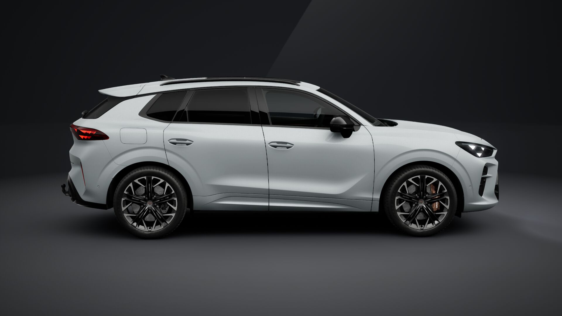 Bild eines Terramar VZ 2.0 TSI 265 PS DSG 4Drive