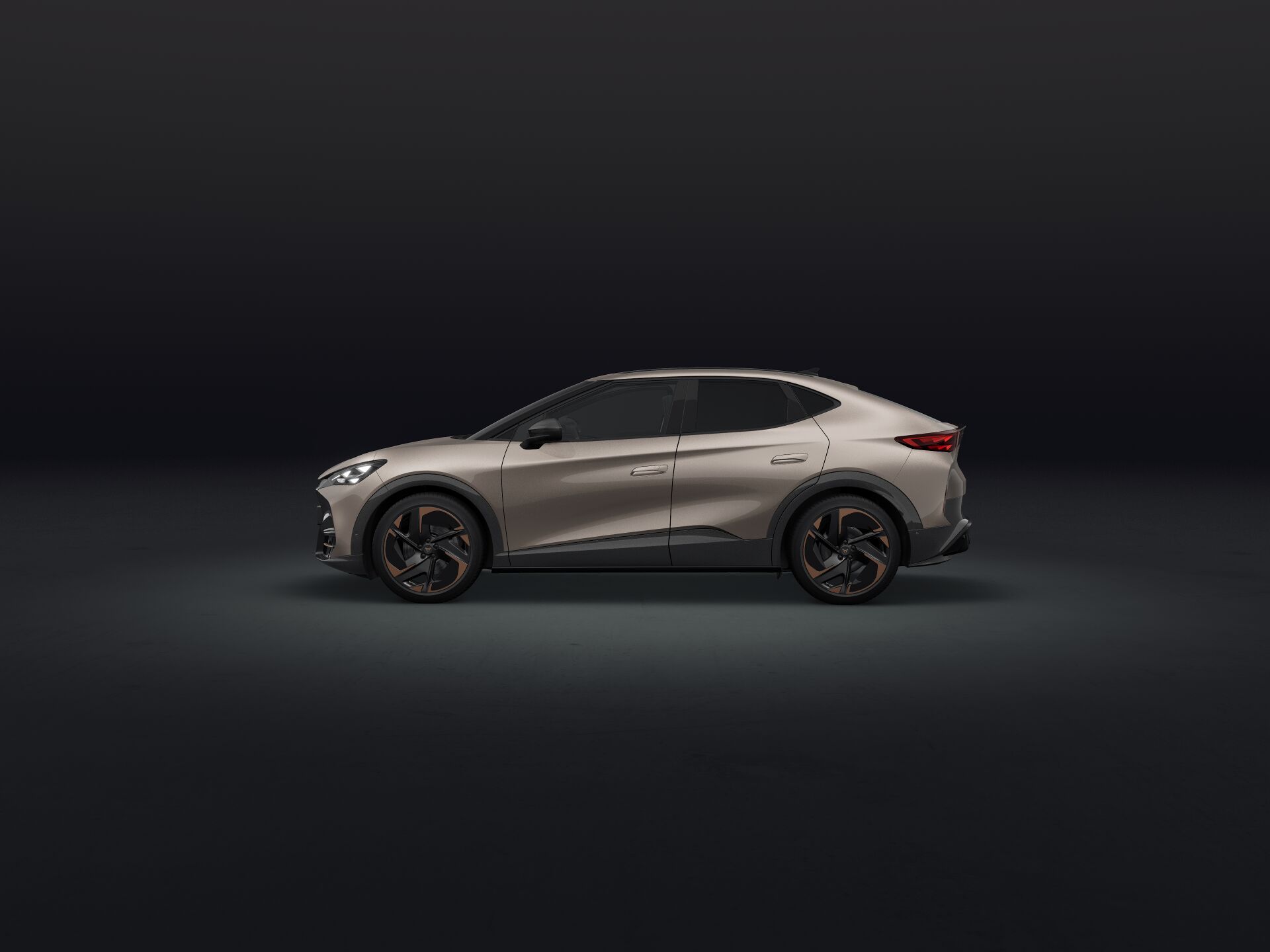 Bild eines Tavascan VZ Adrenaline 4Drive250kW/340PS