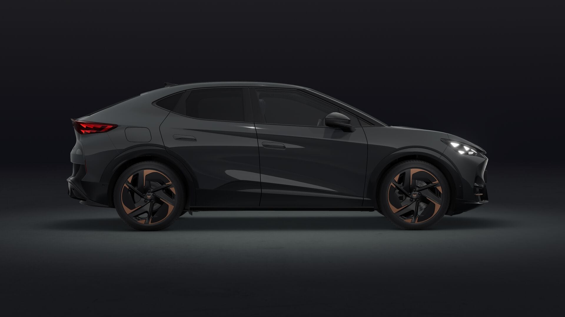 Bild eines Tavascan VZ Adrenaline 4Drive250kW/340PS