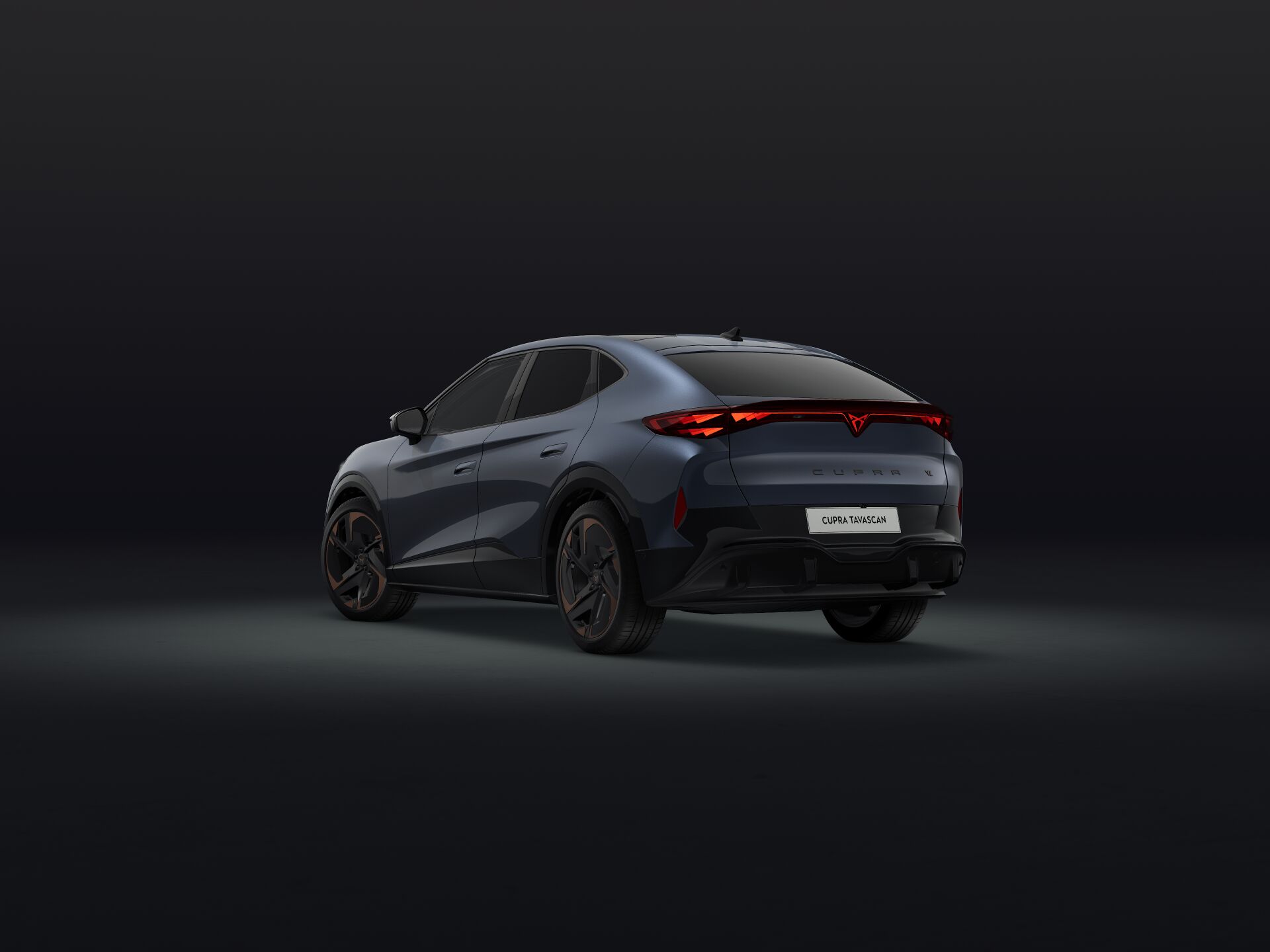 Bild eines Tavascan VZ Adrenaline 4Drive250kW/340PS