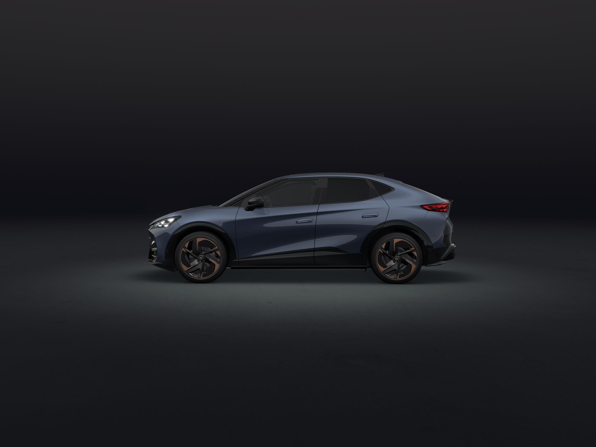 Bild eines Tavascan VZ Adrenaline 4Drive250kW/340PS