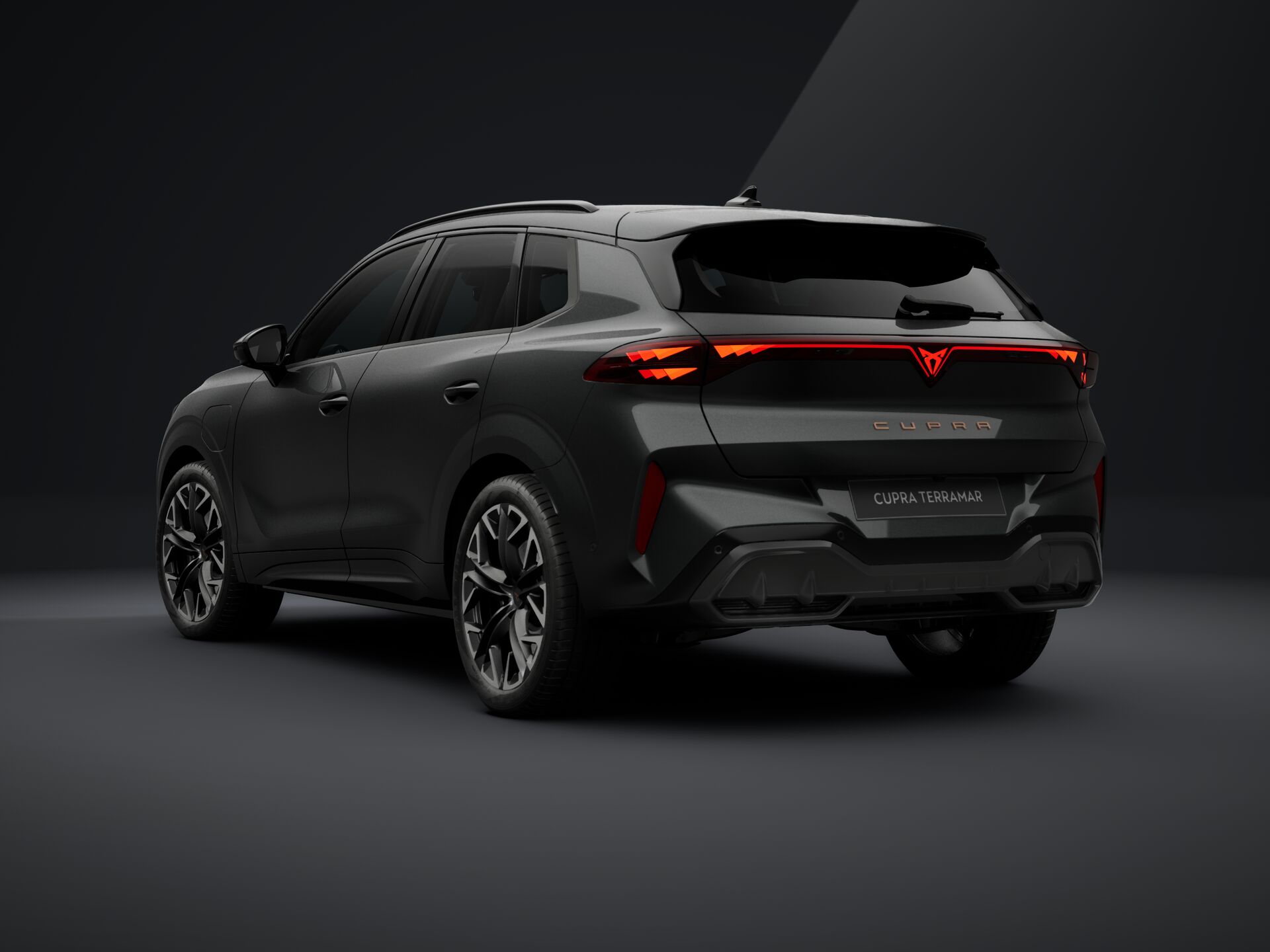 Bild eines Terramar e-HYBRID 204 PS DSG