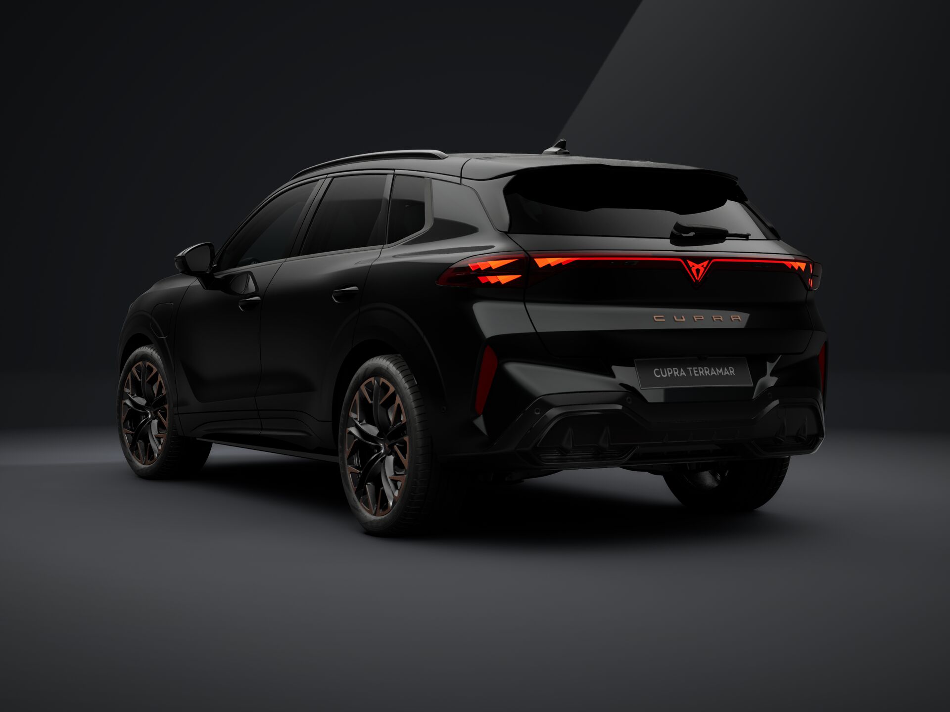 Bild eines Terramar e-HYBRID 204 PS DSG