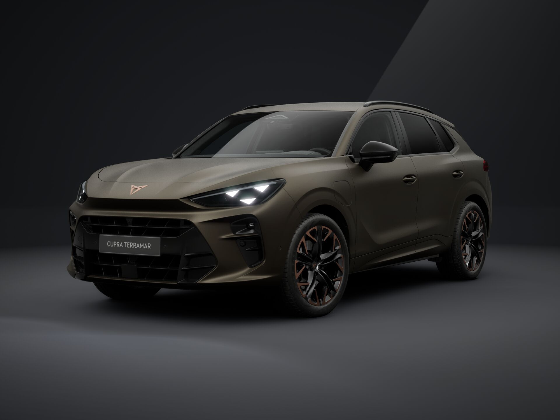 Bild eines Terramar e-HYBRID 204 PS DSG