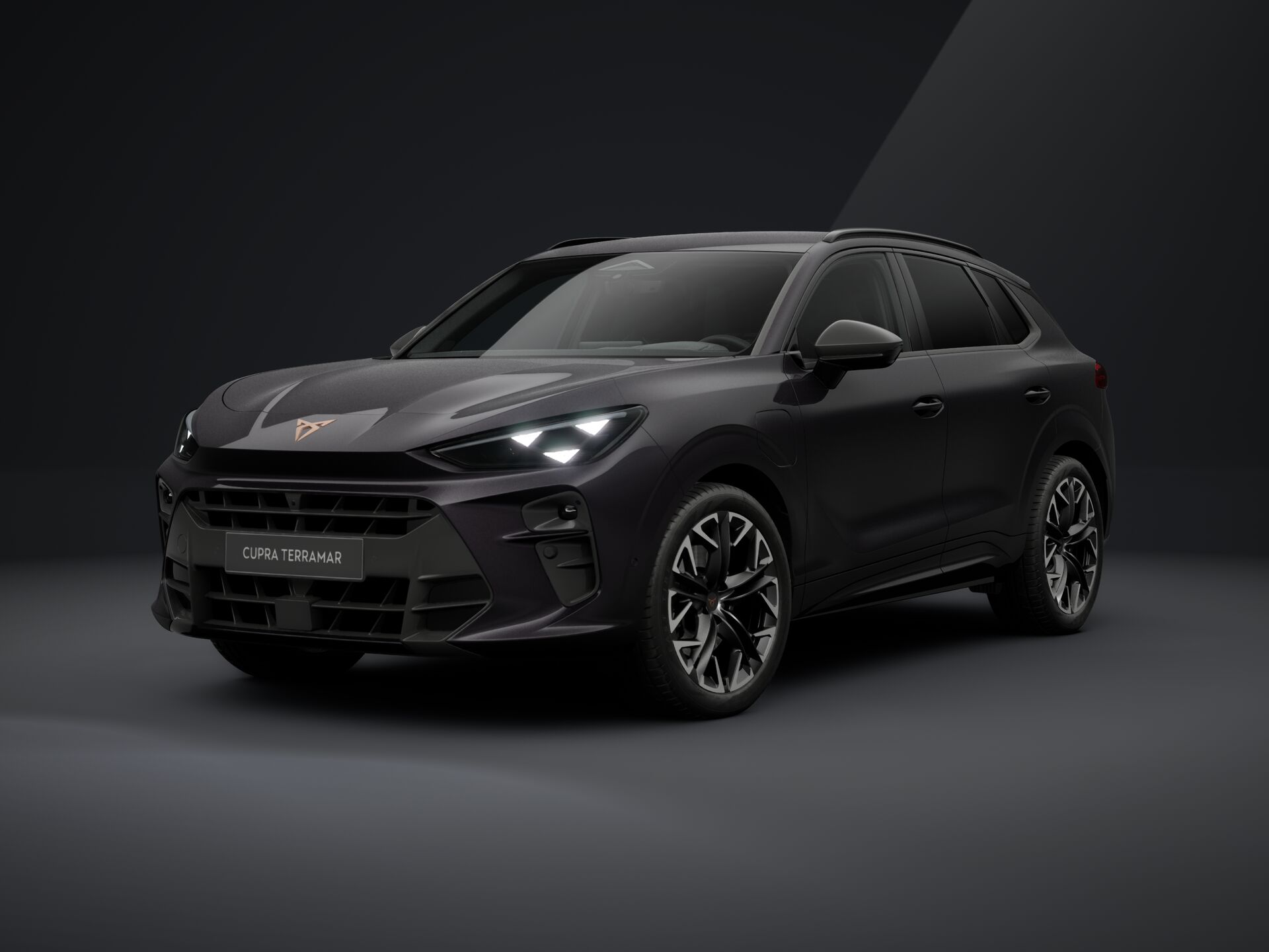 Bild eines Terramar VZ e-HYBRID 272 PS DSG