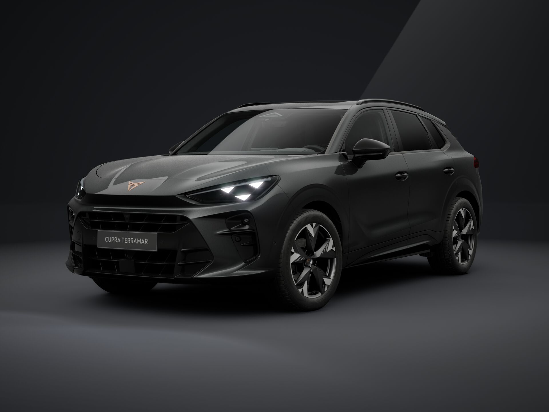 Bild eines Terramar 1.5 e-TSI 150 PS DSG