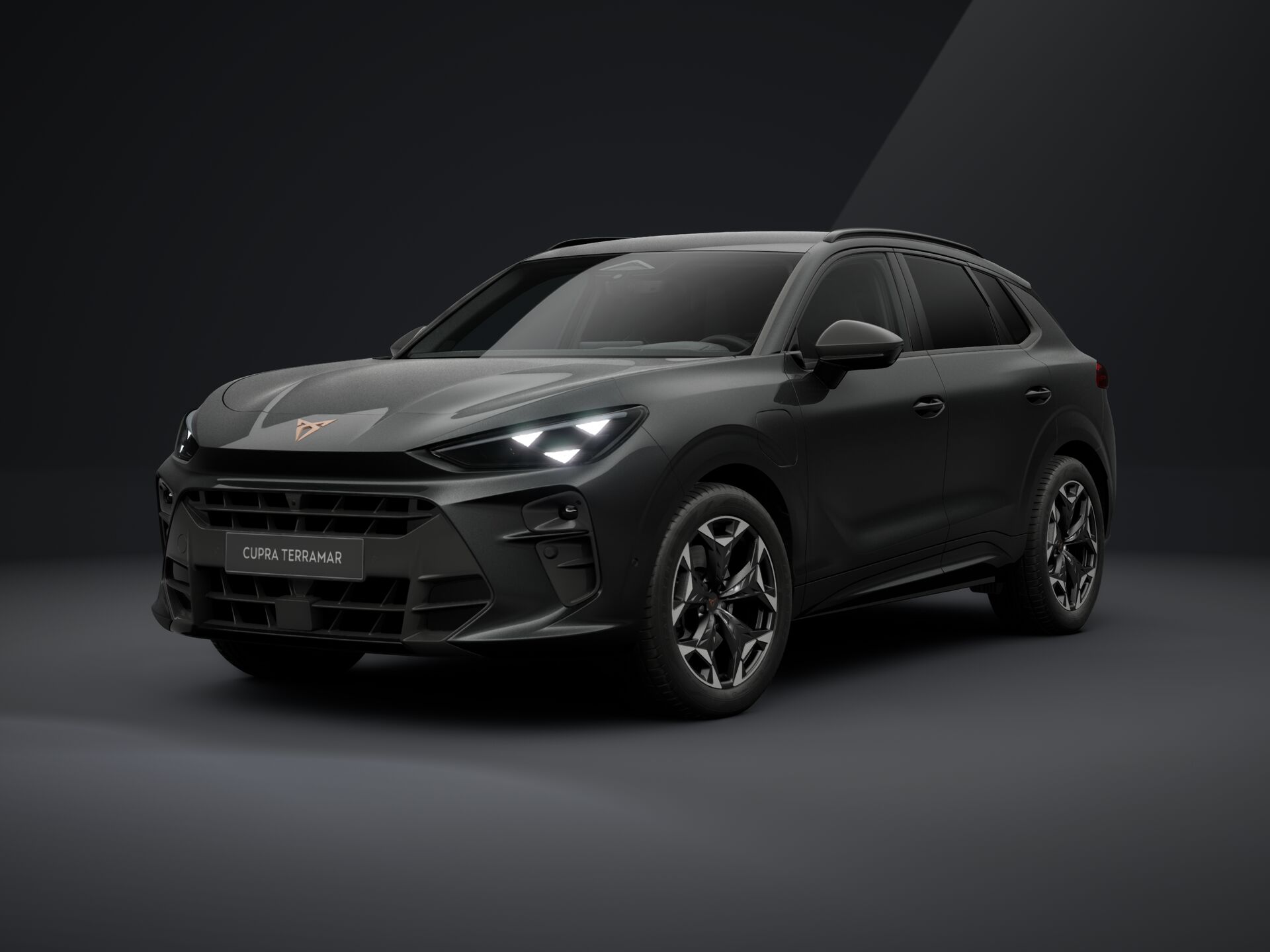 Bild eines Terramar e-HYBRID 204 PS DSG