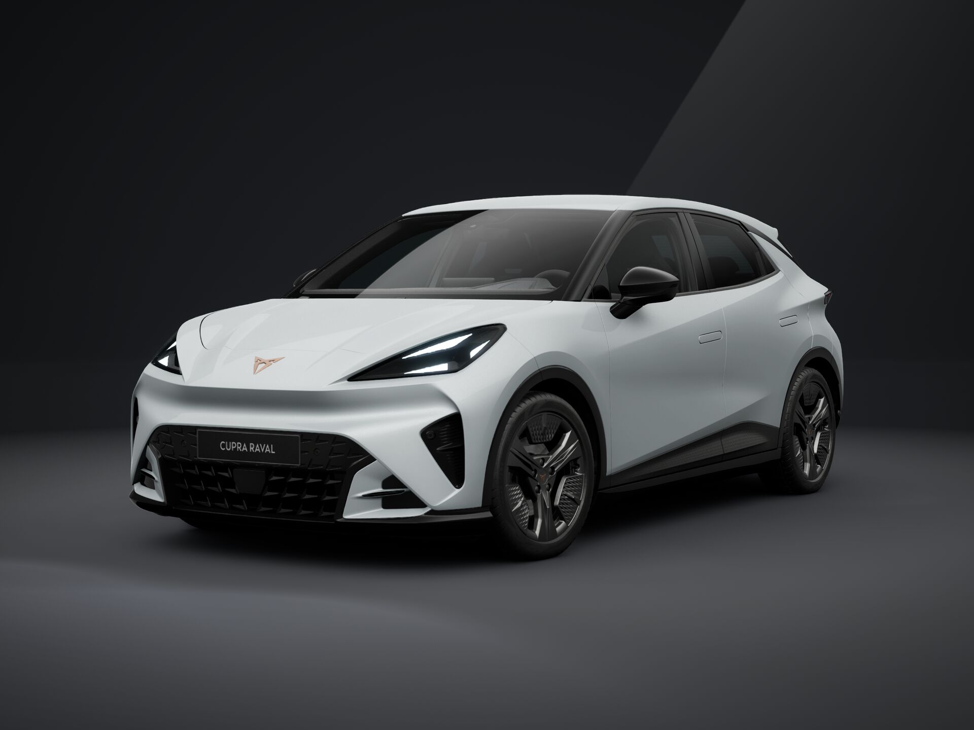 Bild eines Raval ENDURANCE 52/55 155kW/210 PS