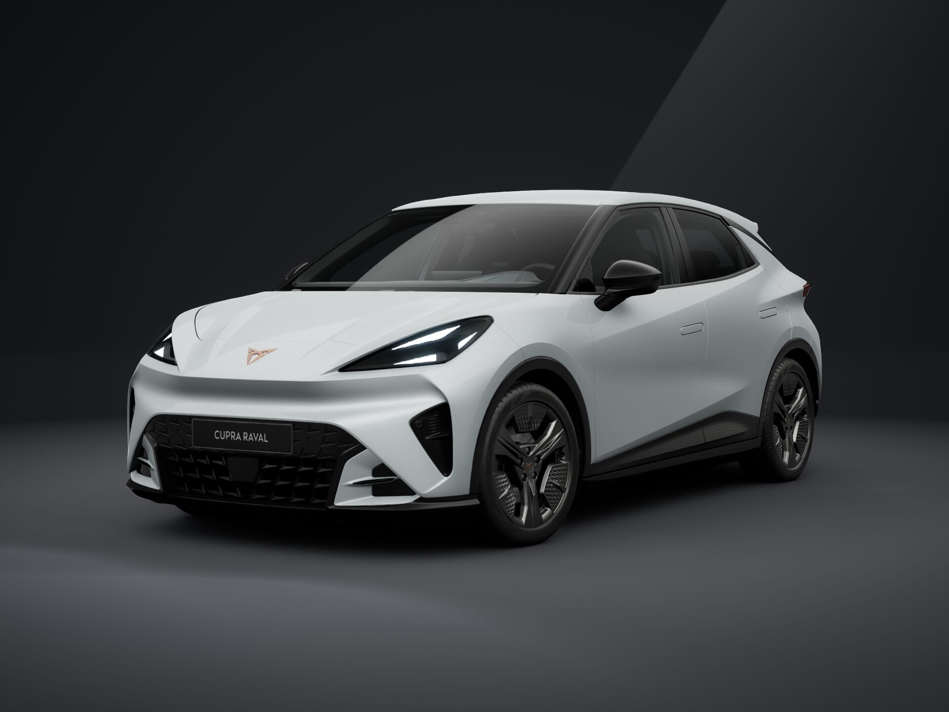 Bild eines Raval ENDURANCE 52/55 155kW/210 PS