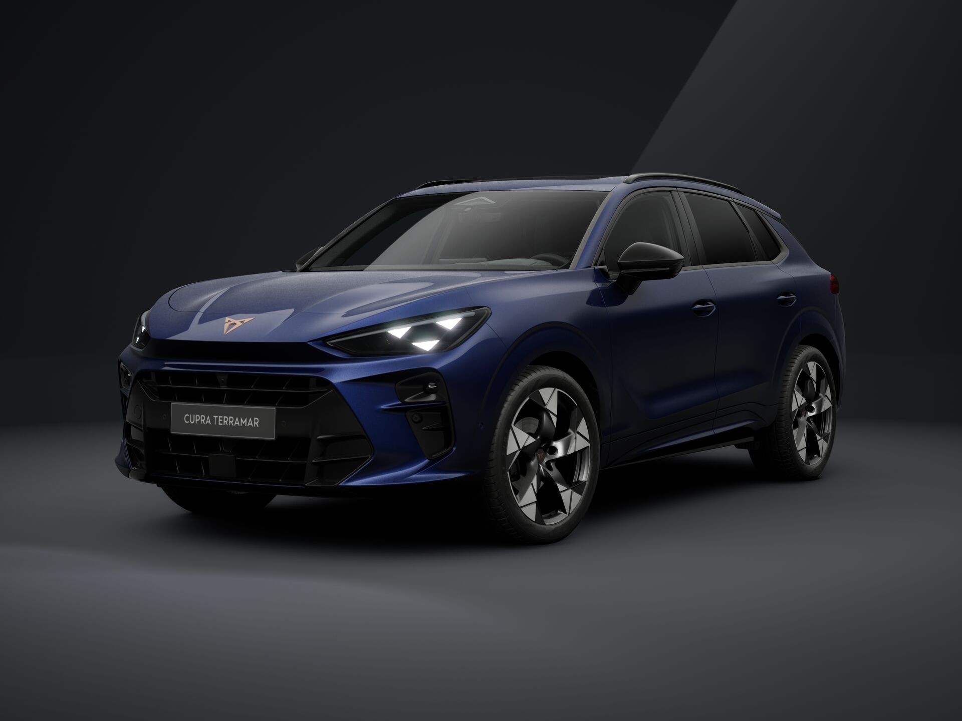 Bild eines Terramar 1.5 e-TSI 150 PS DSG