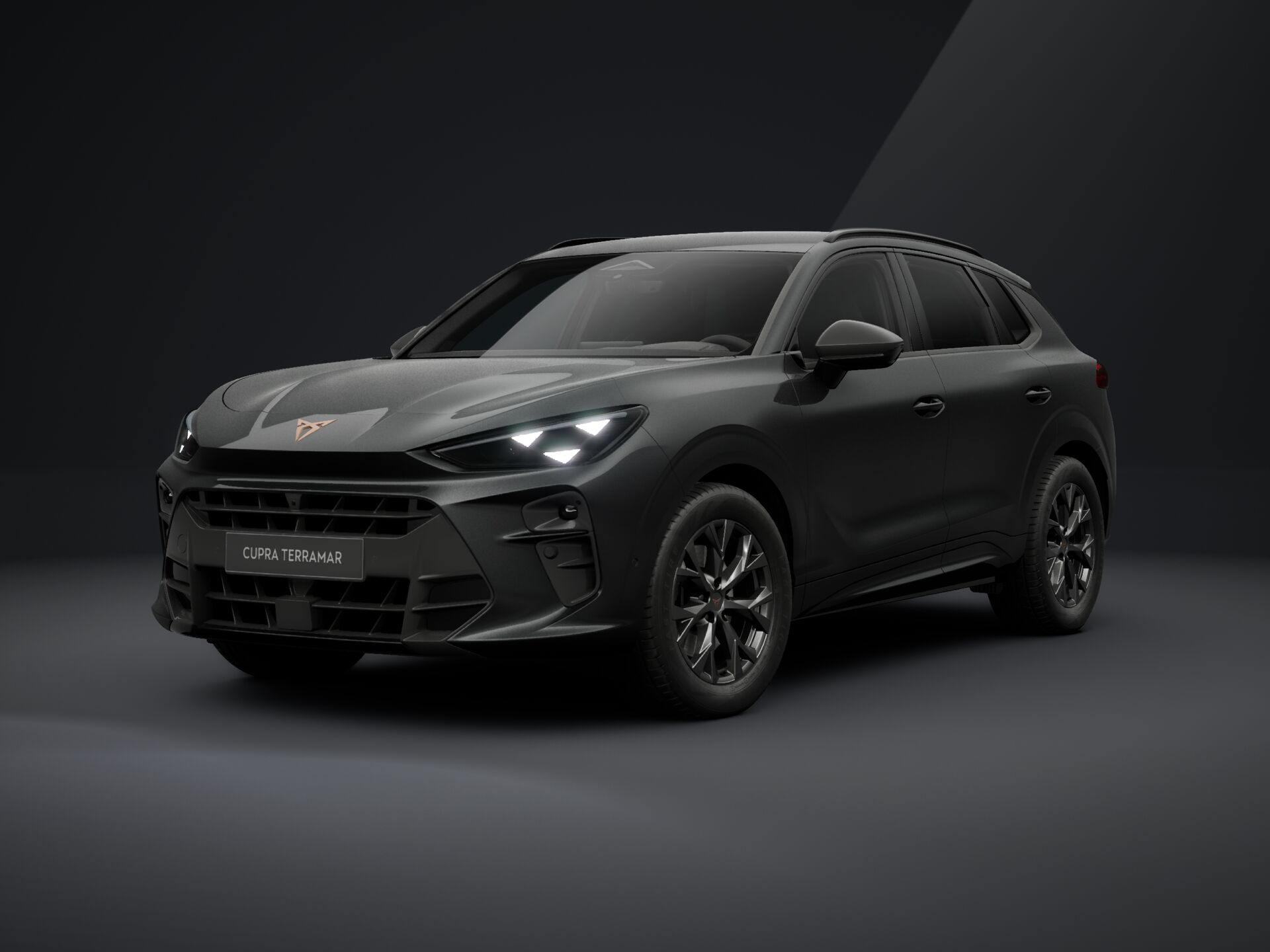 Bild eines Terramar 2.0 TSI 204 PS DSG 4Drive
