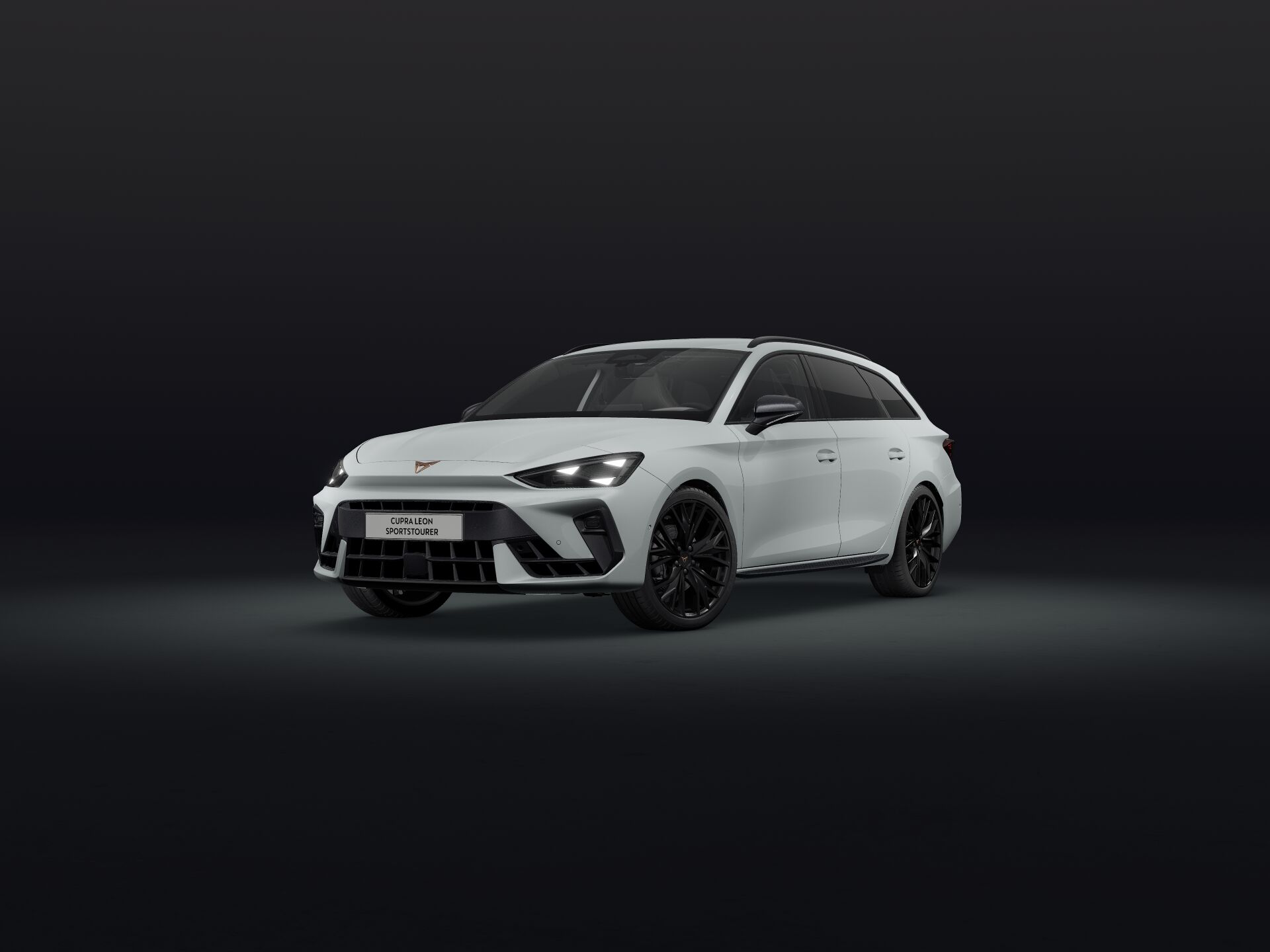 Bild eines Leon SP Kombi 2.0 TSI DSG 4Drive