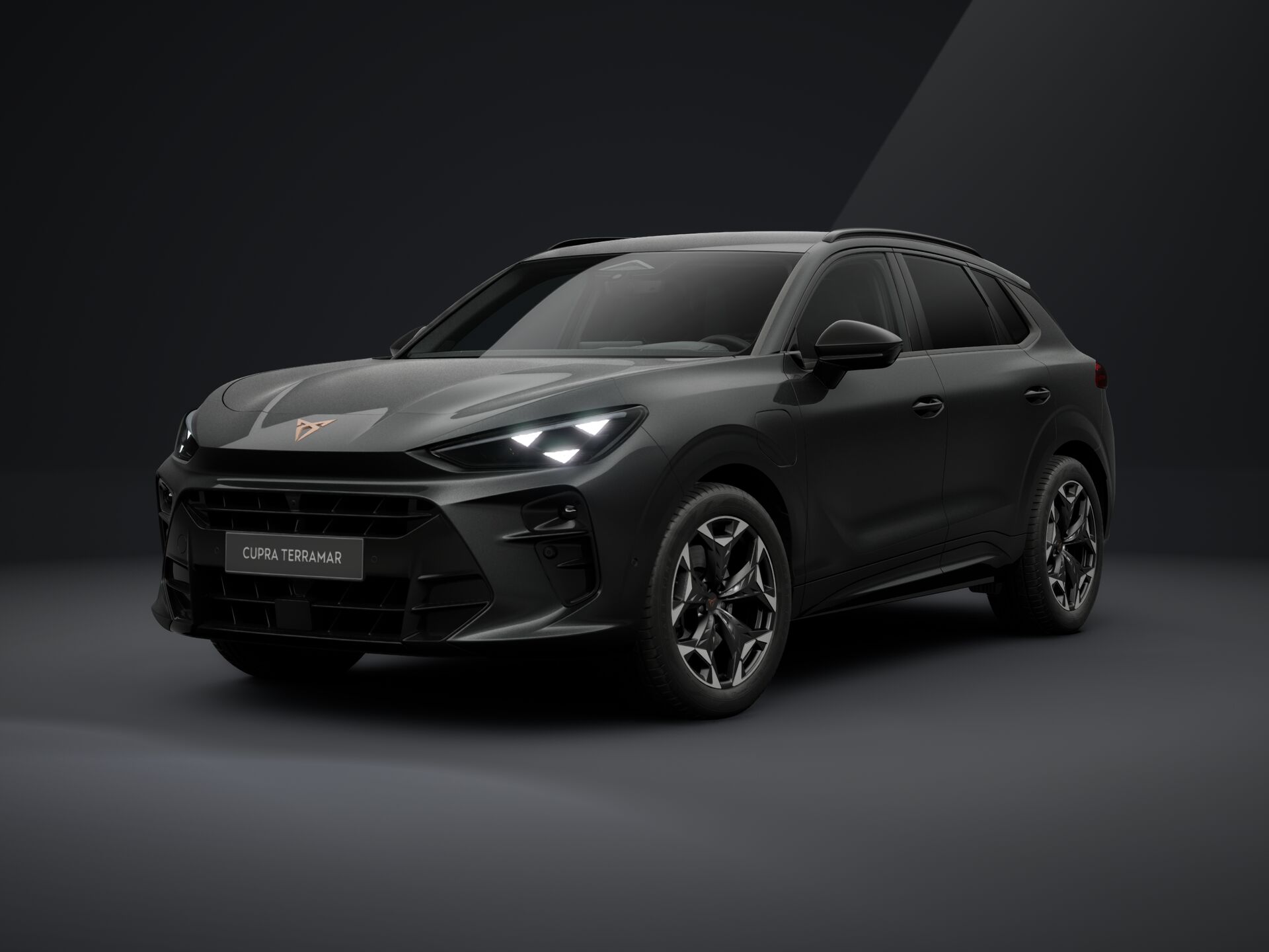 Bild eines Terramar e-HYBRID 204 PS DSG