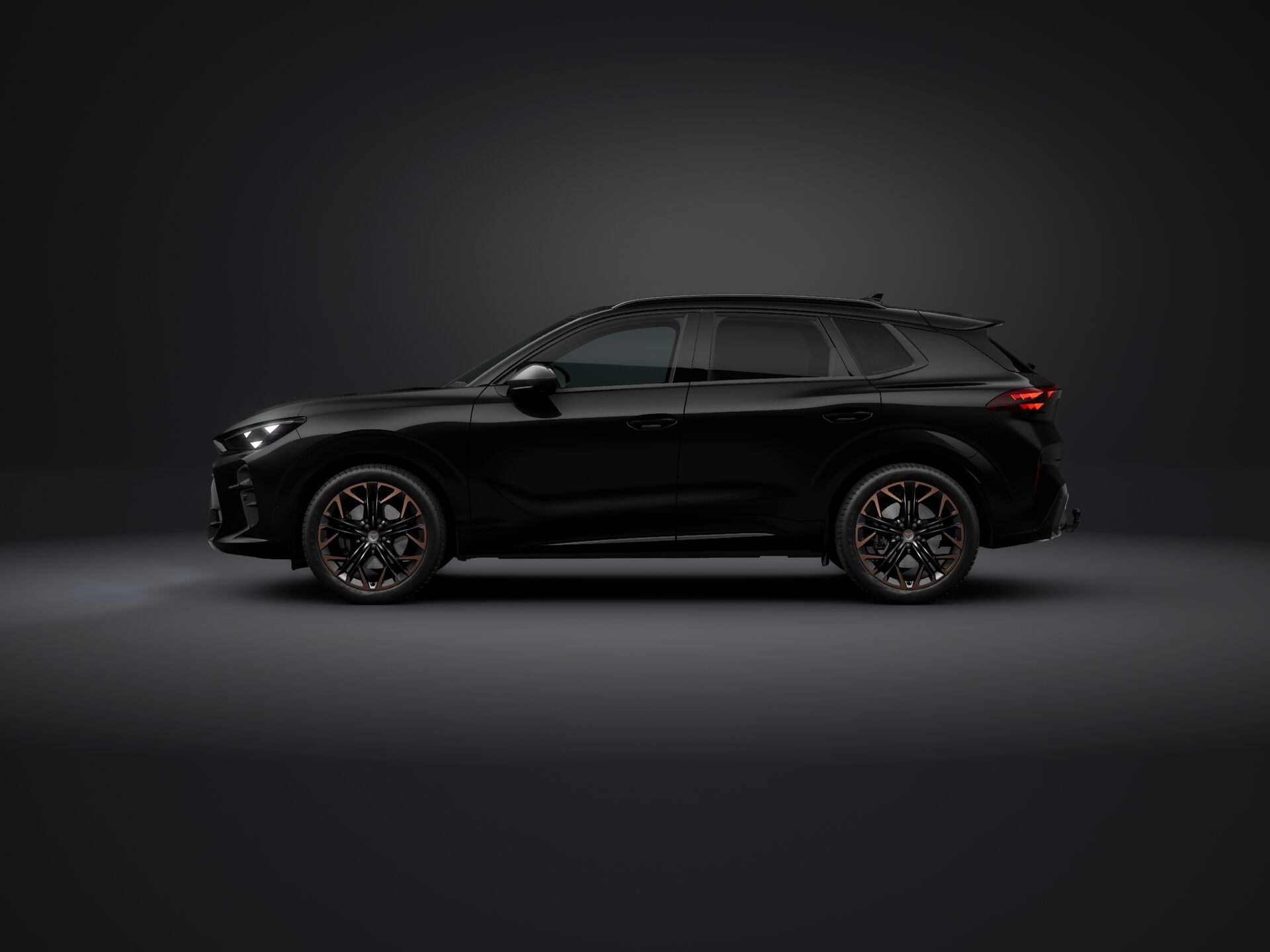 Bild eines Terramar VZ 2.0 TSI 265 PS DSG 4Drive