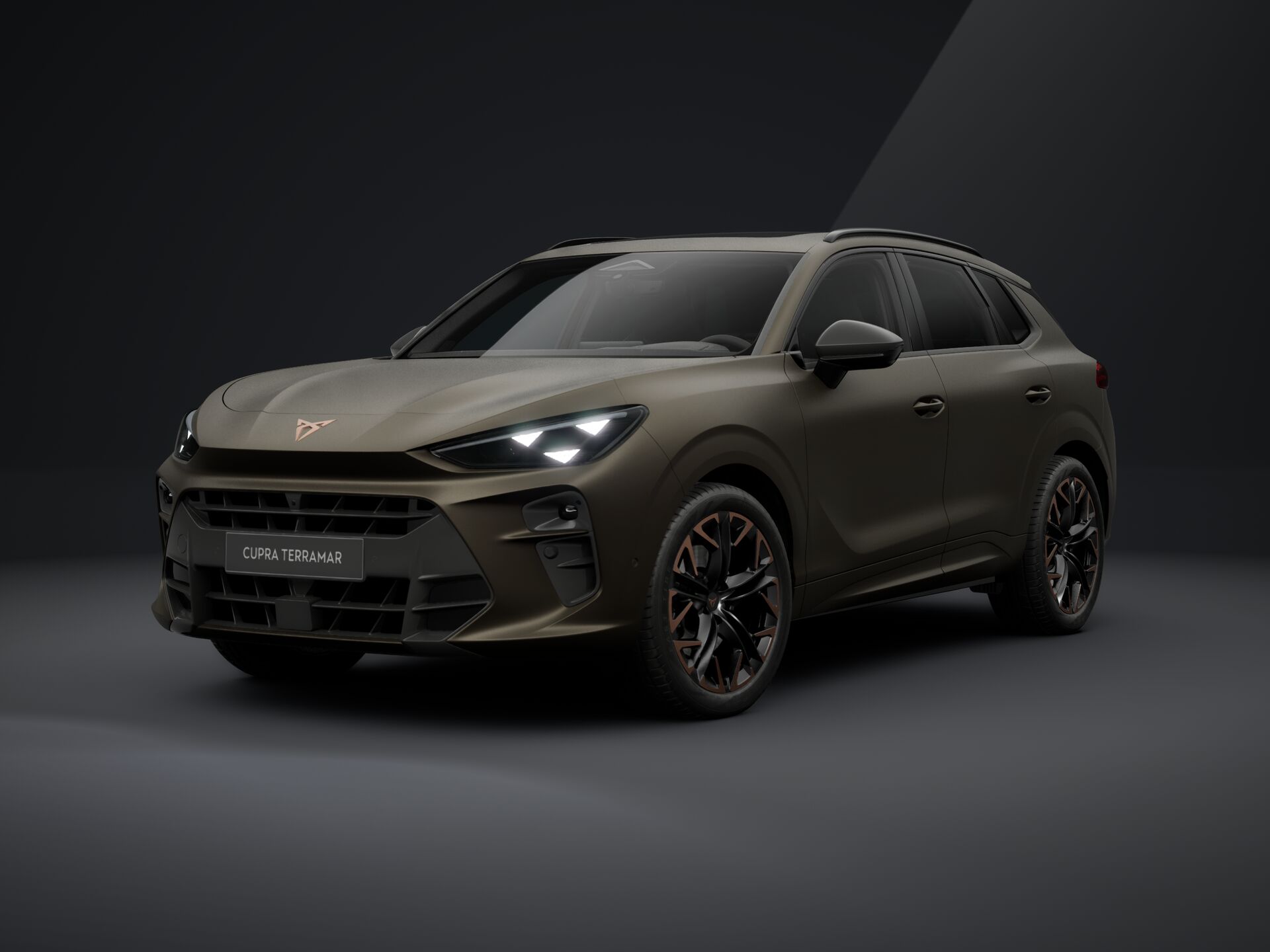 Bild eines Terramar 2.0 TSI 204 PS DSG 4Drive