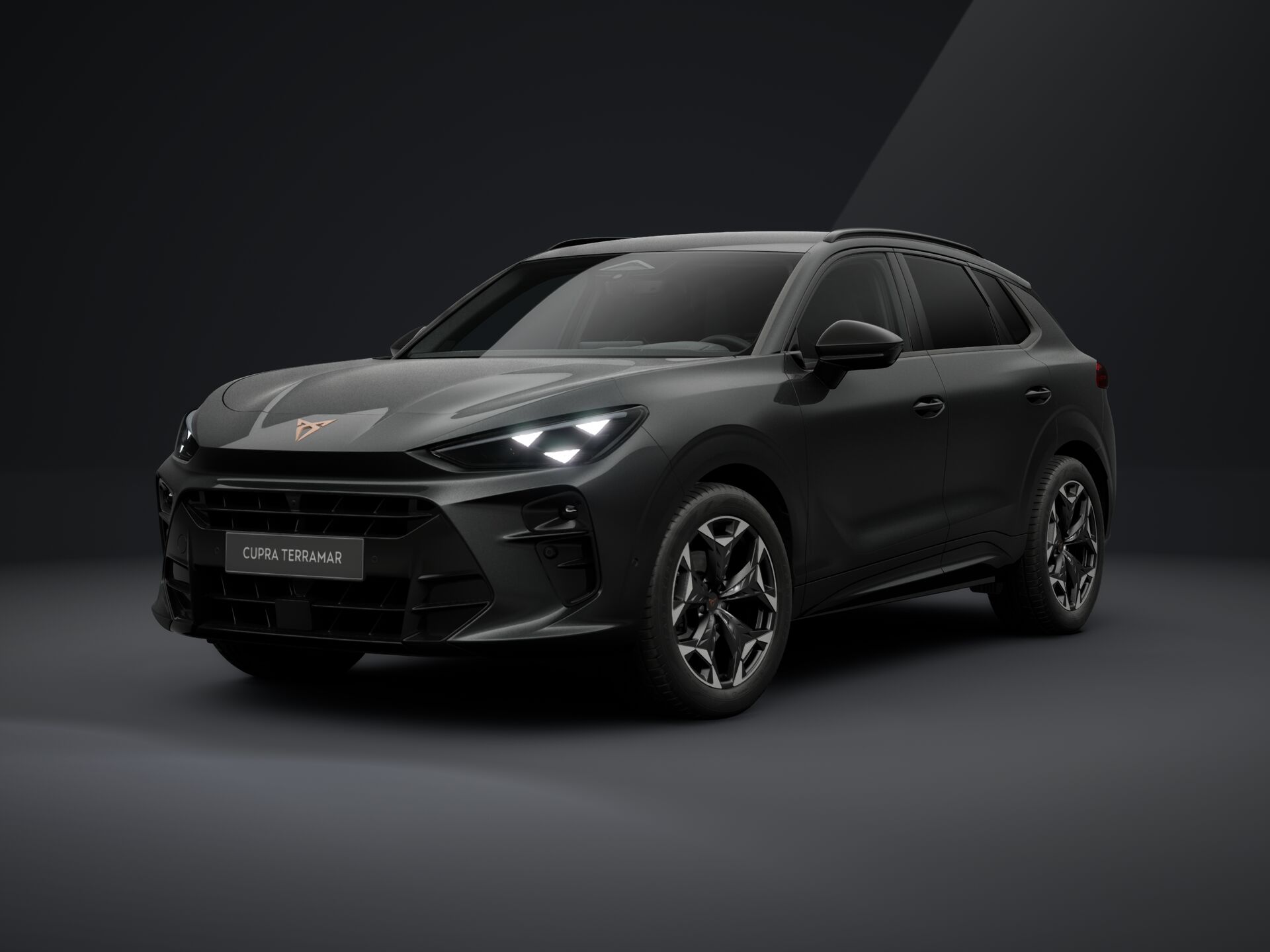 Bild eines Terramar 1.5 e-TSI 150 PS DSG