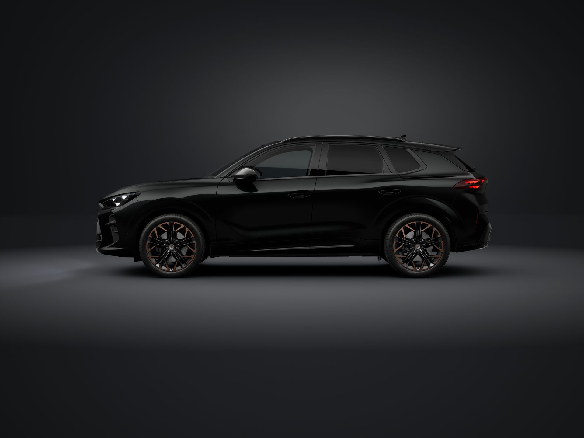 Bild eines Terramar VZ 2.0 TSI 265 PS DSG 4Drive