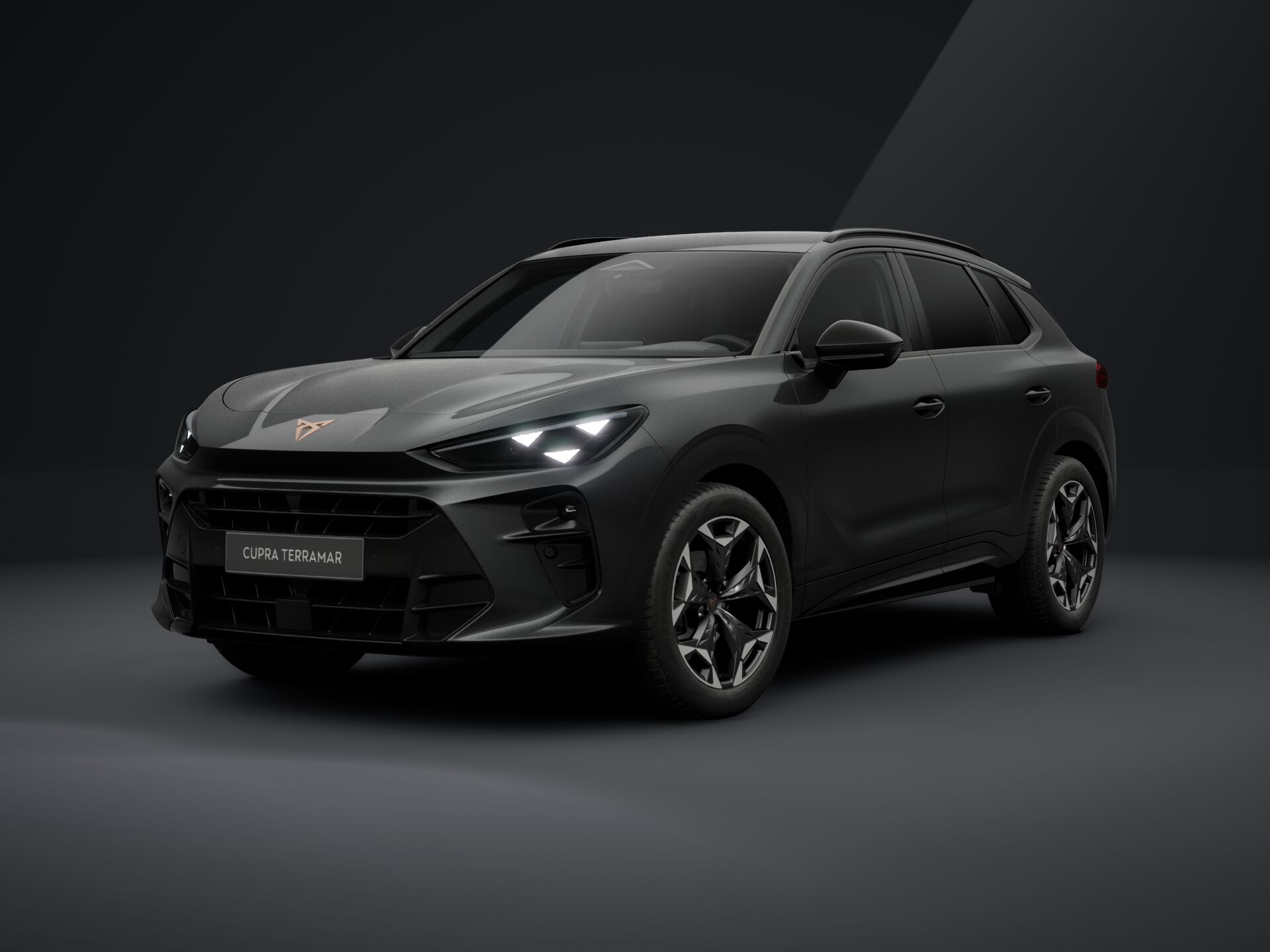 Bild eines Terramar 1.5 e-TSI 150 PS DSG