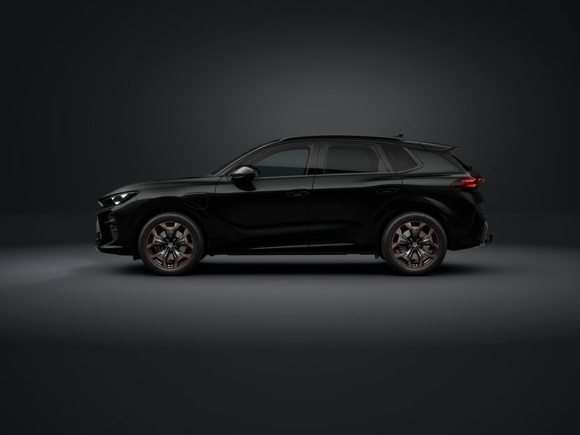 Bild eines Terramar e-HYBRID 204 PS DSG