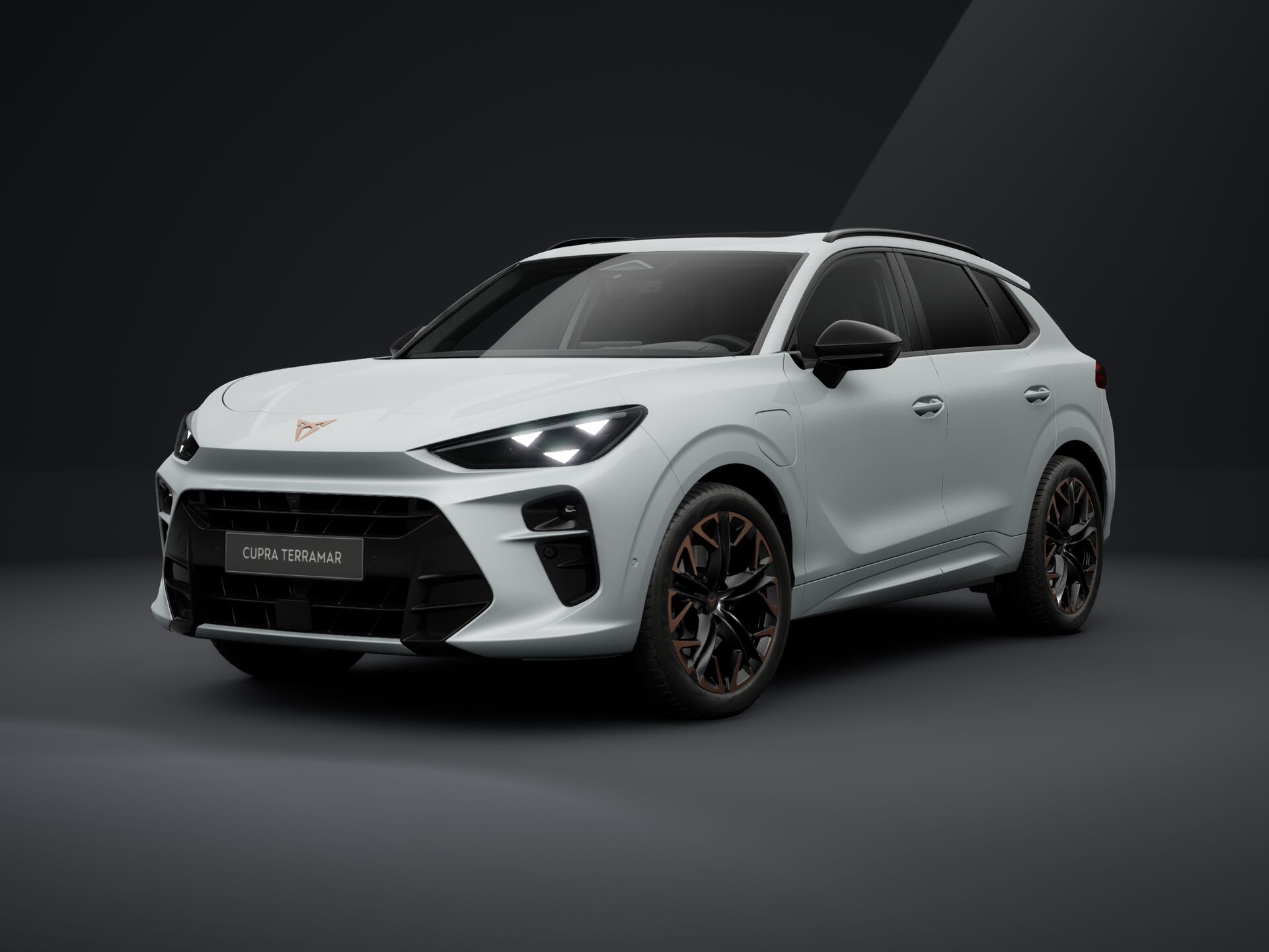 Bild eines Terramar e-HYBRID 204 PS DSG