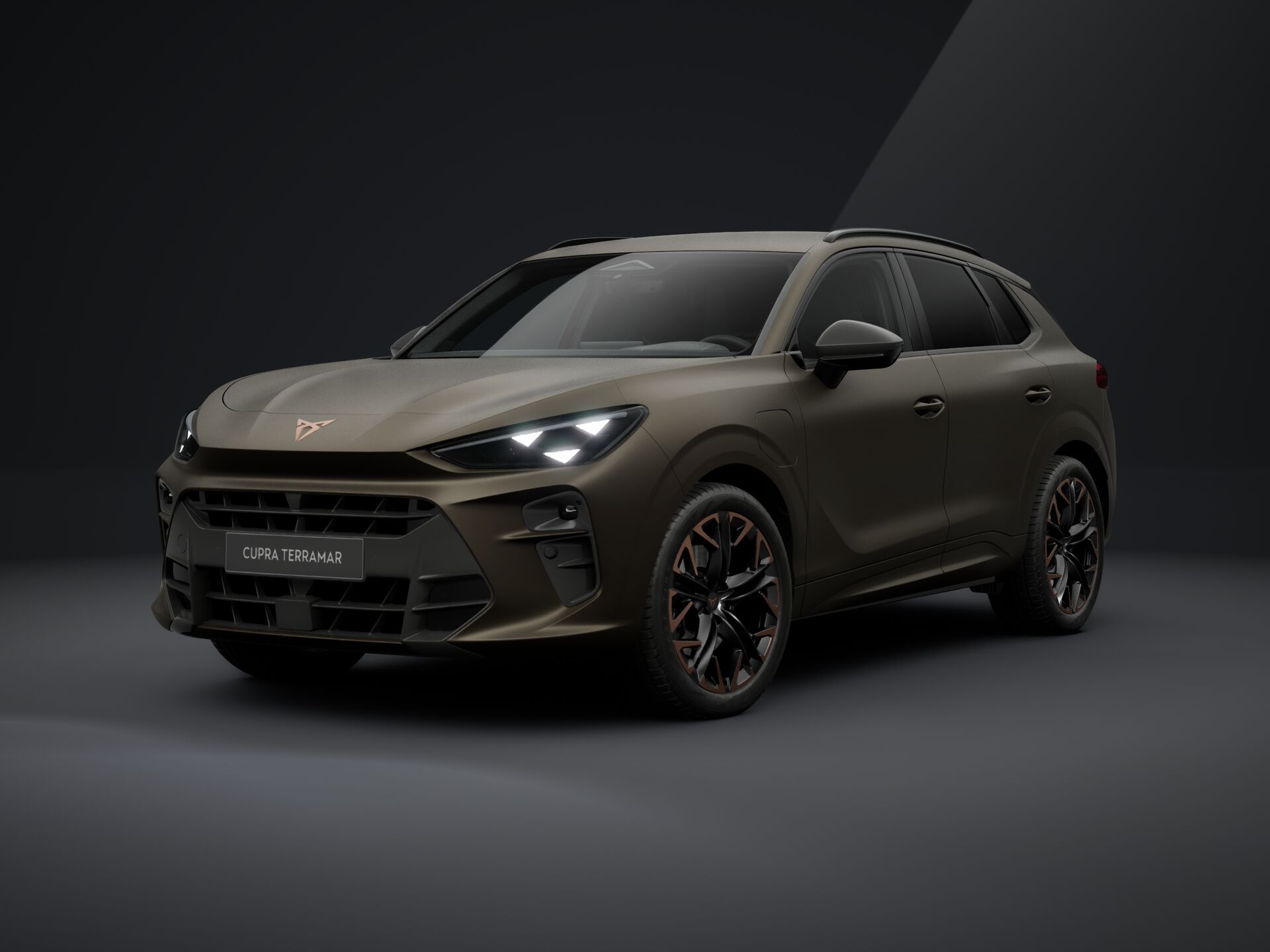 Bild eines Terramar VZ e-HYBRID 272 PS DSG
