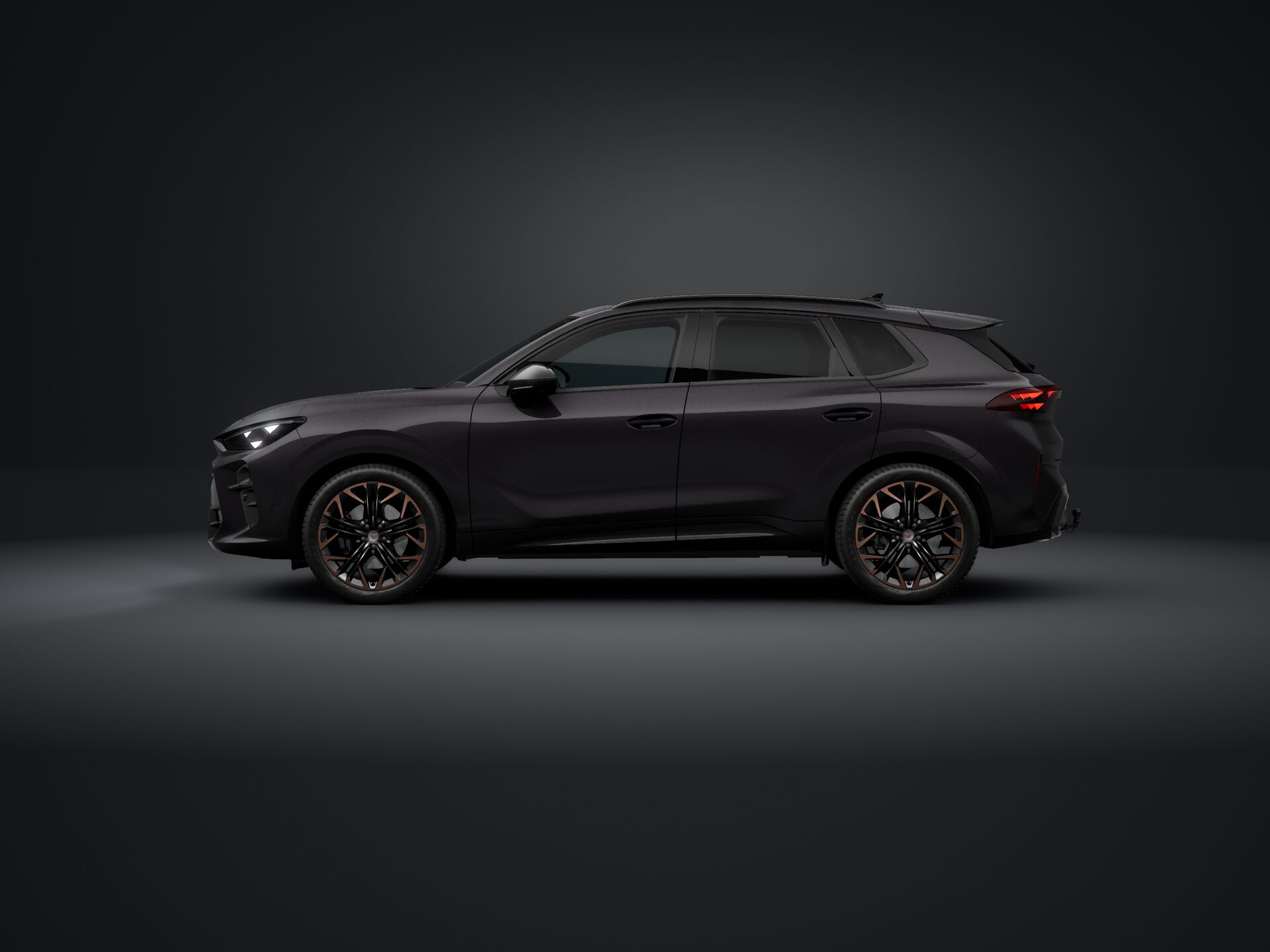 Bild eines Terramar VZ 2.0 TSI 265 PS DSG 4Drive