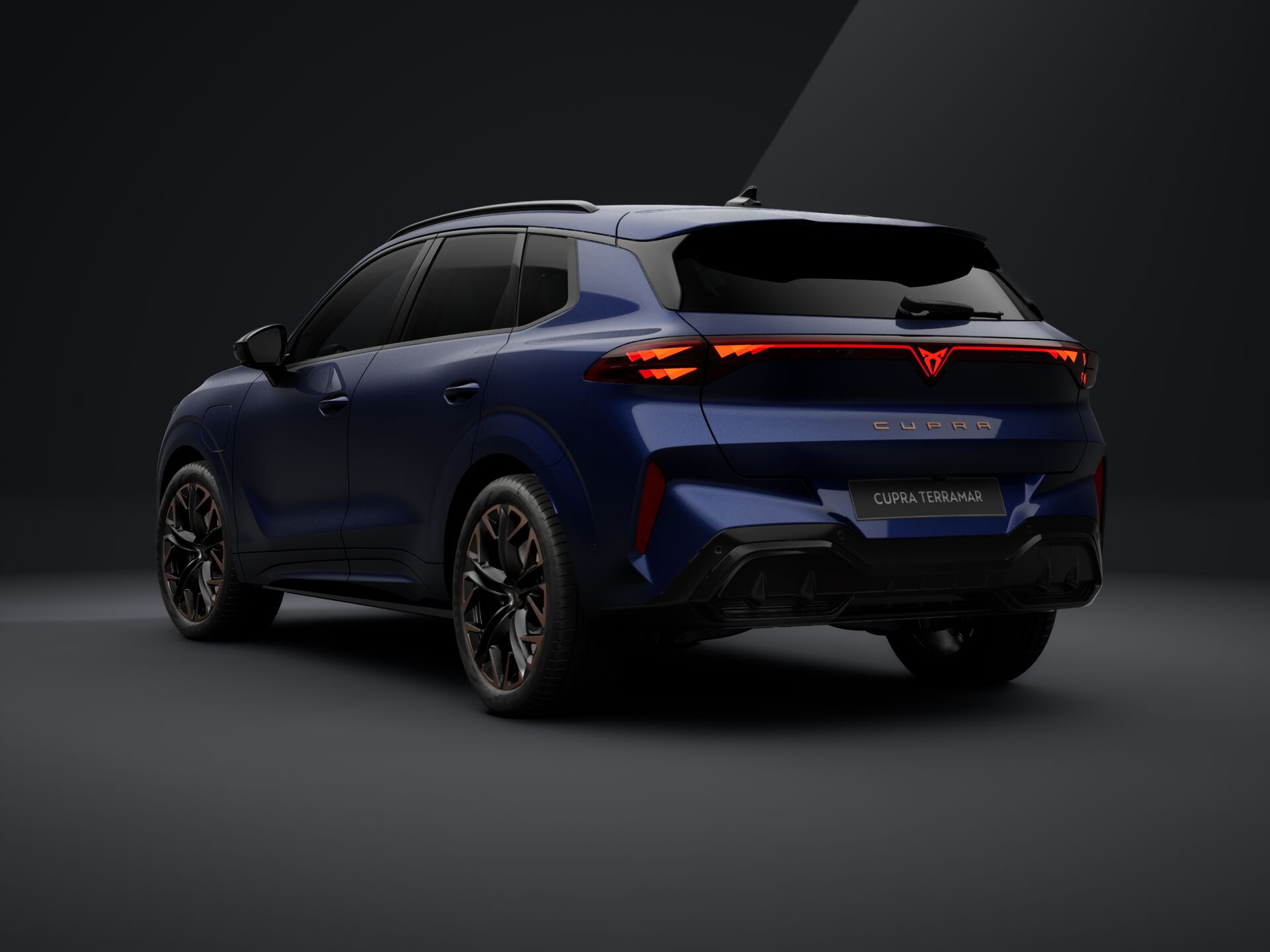 Bild eines Terramar e-HYBRID 204 PS DSG