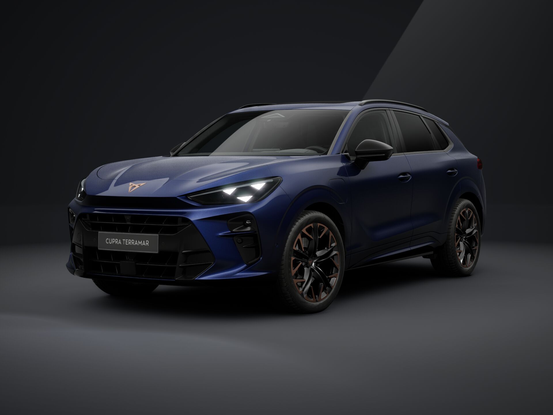 Bild eines Terramar e-HYBRID 204 PS DSG