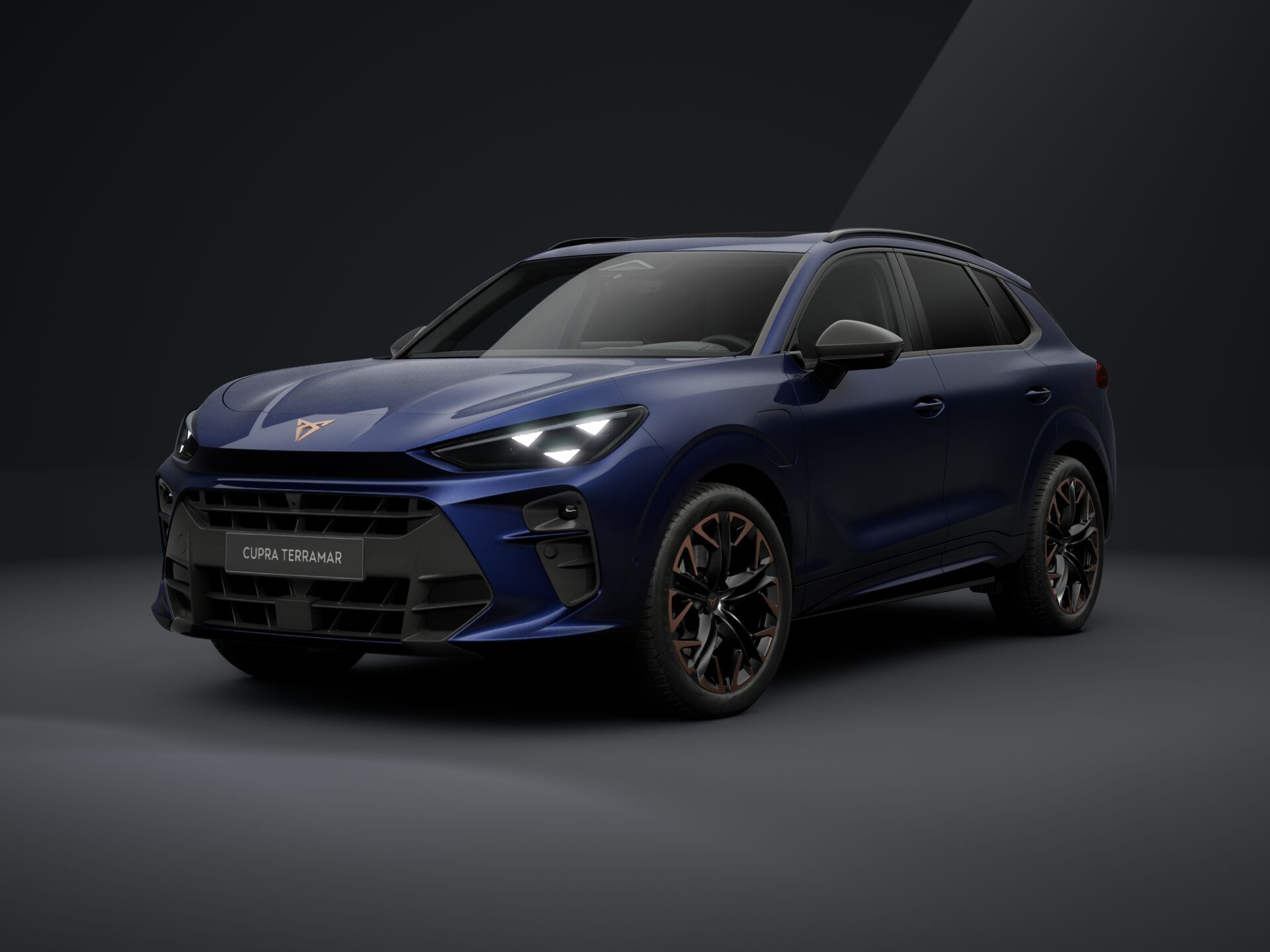 Bild eines Terramar e-HYBRID 204 PS DSG