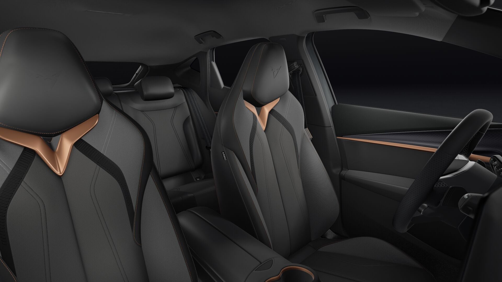 Bild eines Tavascan 210kW/286PS