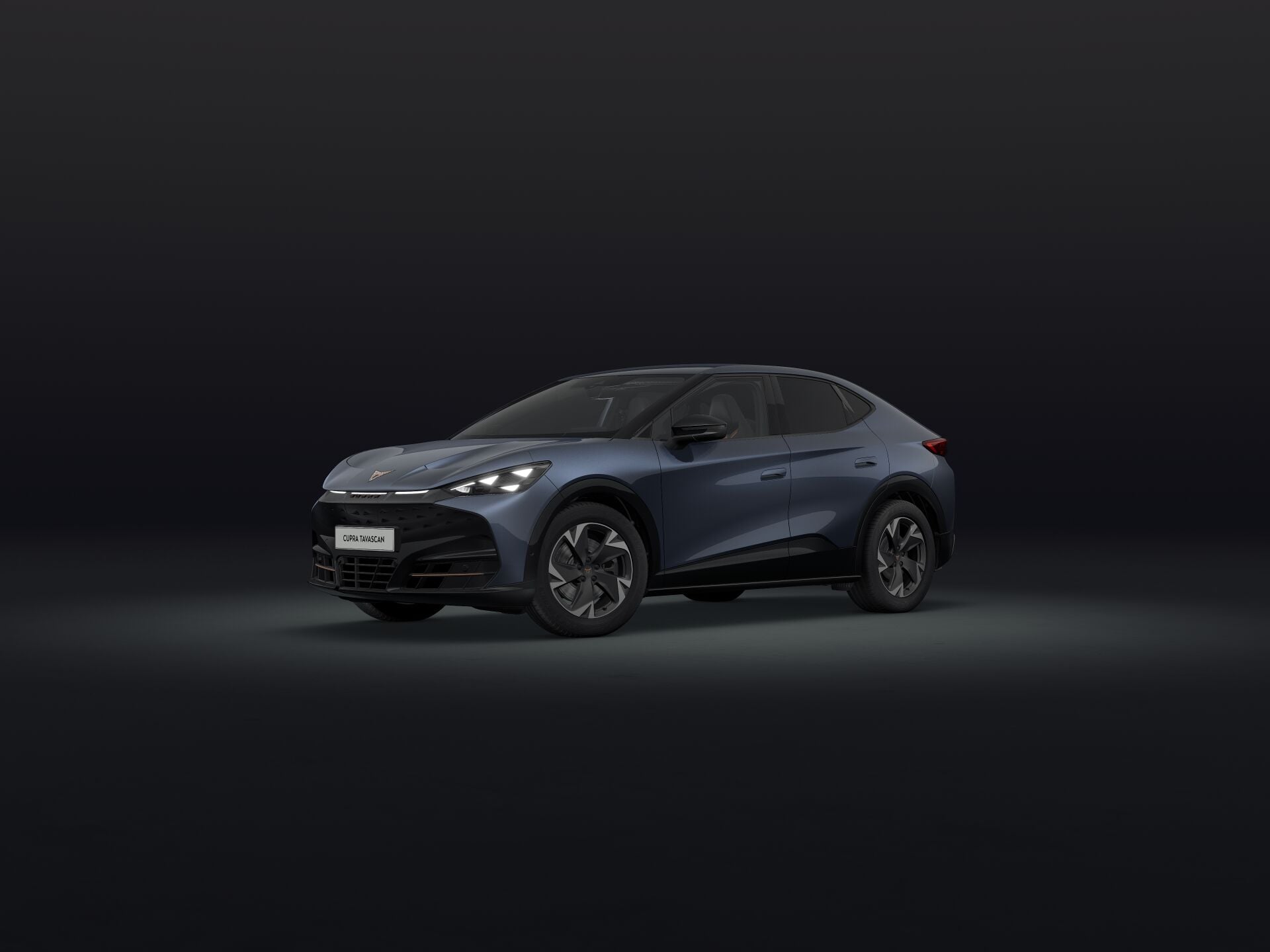 Bild eines Tavascan 210kW/286PS