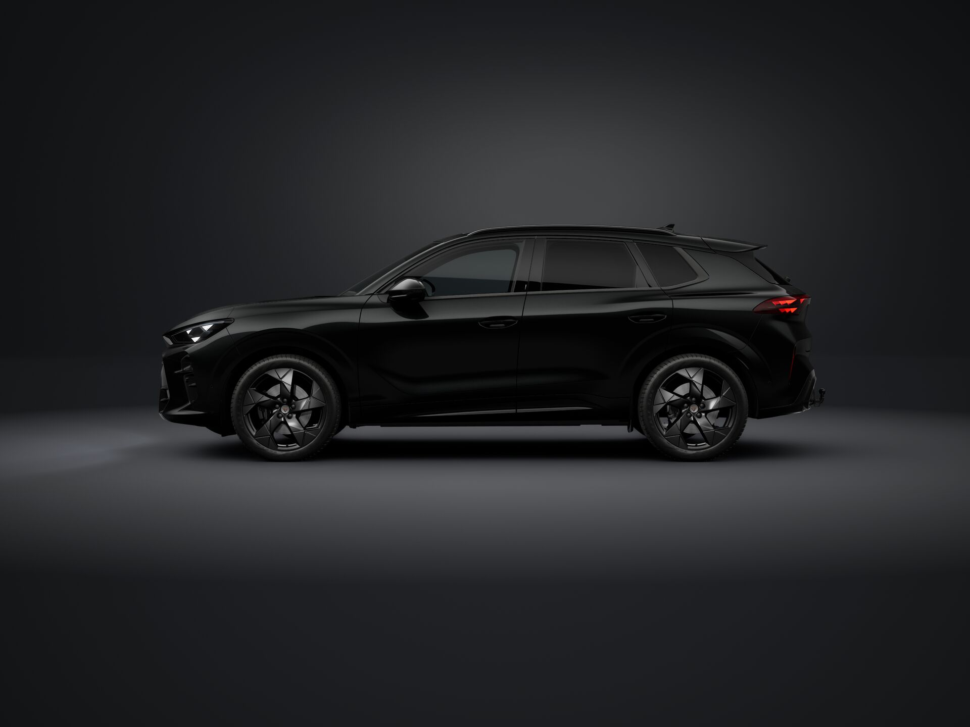 Bild eines Terramar TRIBE 2.0 TSI 204 PS DSG 4Drive