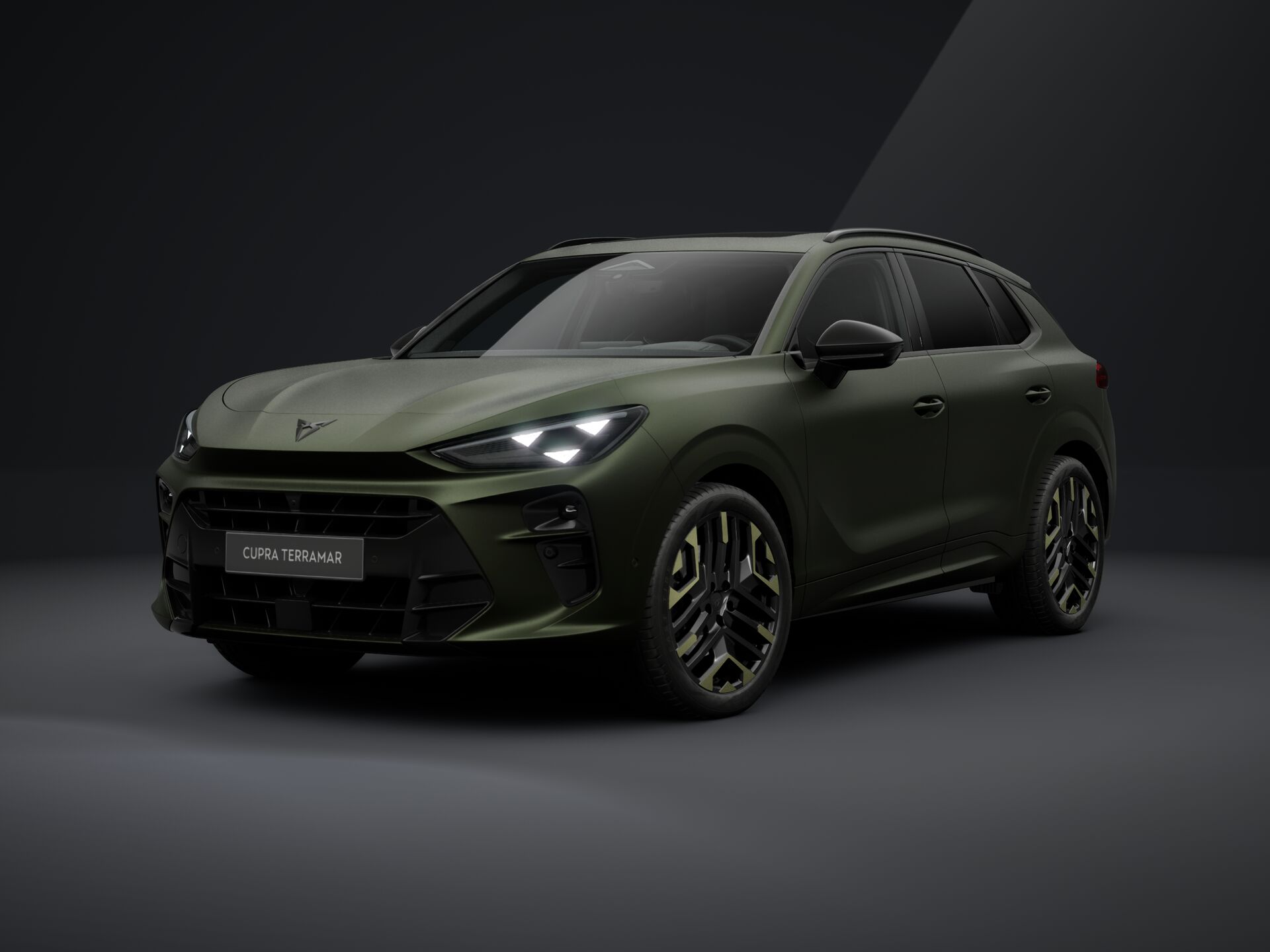 Bild eines Terramar TRIBE 2.0 TSI 204 PS DSG 4Drive