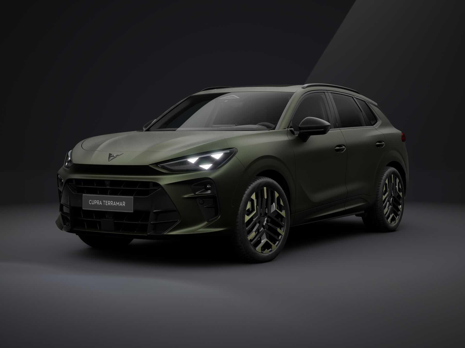 Cupra Terramar TRIBE 2.0 TSI 204 PS DSG 4Drive 2026