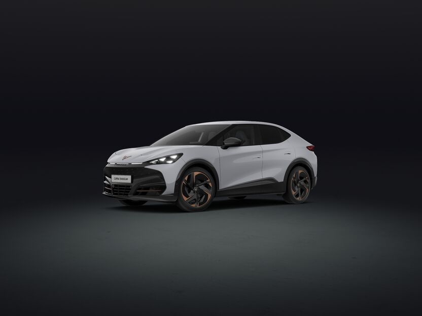 Bild eines Tavascan VZ Adrenaline 4Drive250kW/340PS