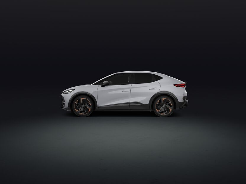 Bild eines Tavascan VZ Adrenaline 4Drive250kW/340PS