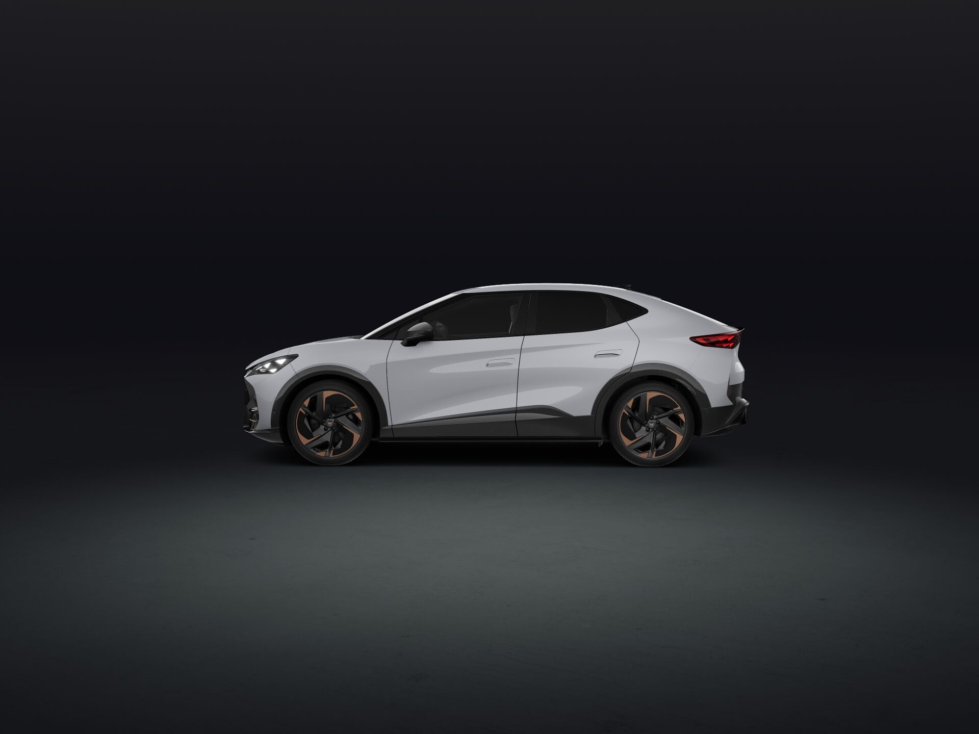 Bild eines Tavascan VZ Adrenaline 4Drive250kW/340PS