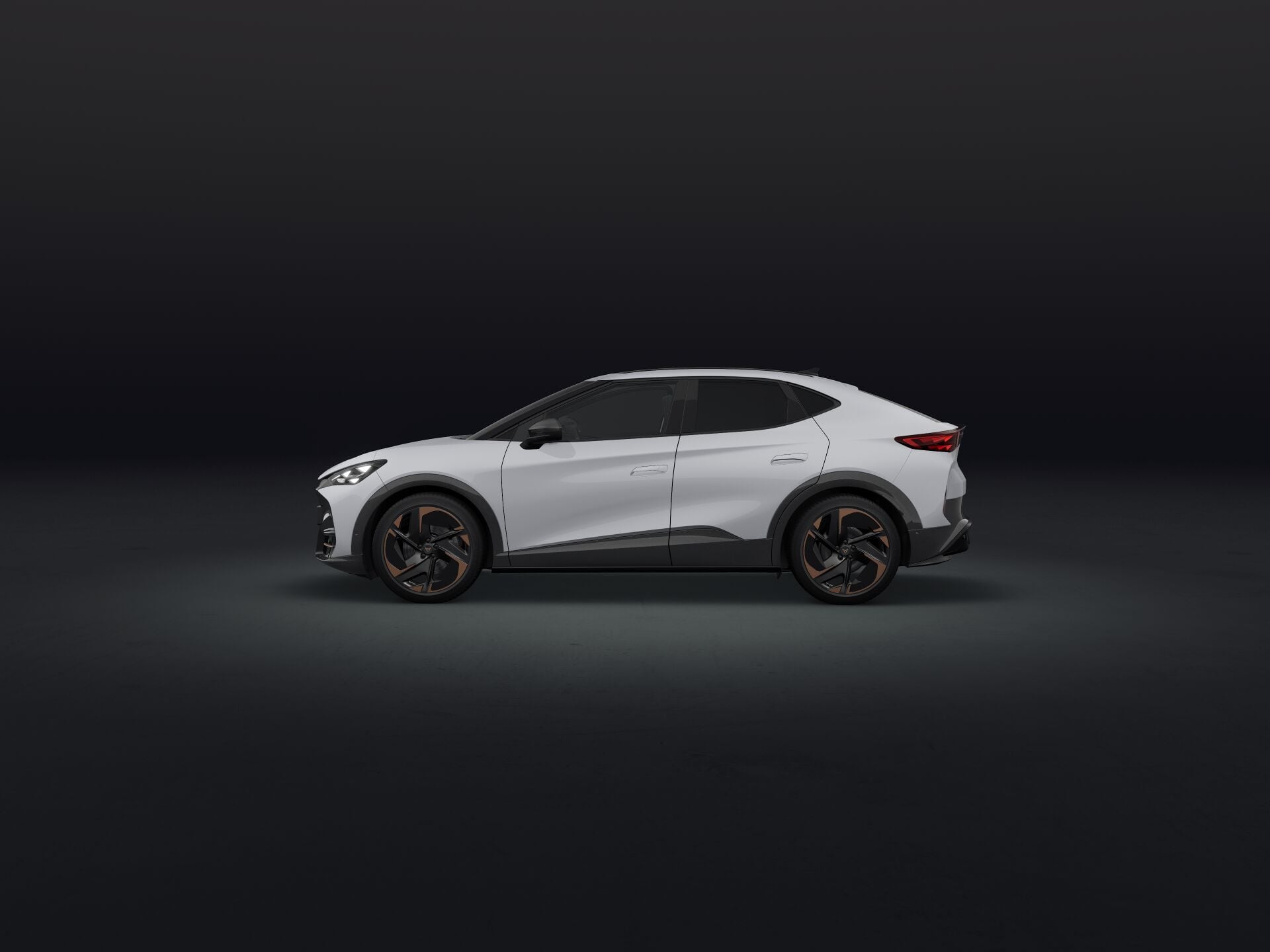 Bild eines Tavascan VZ Adrenaline 4Drive250kW/340PS