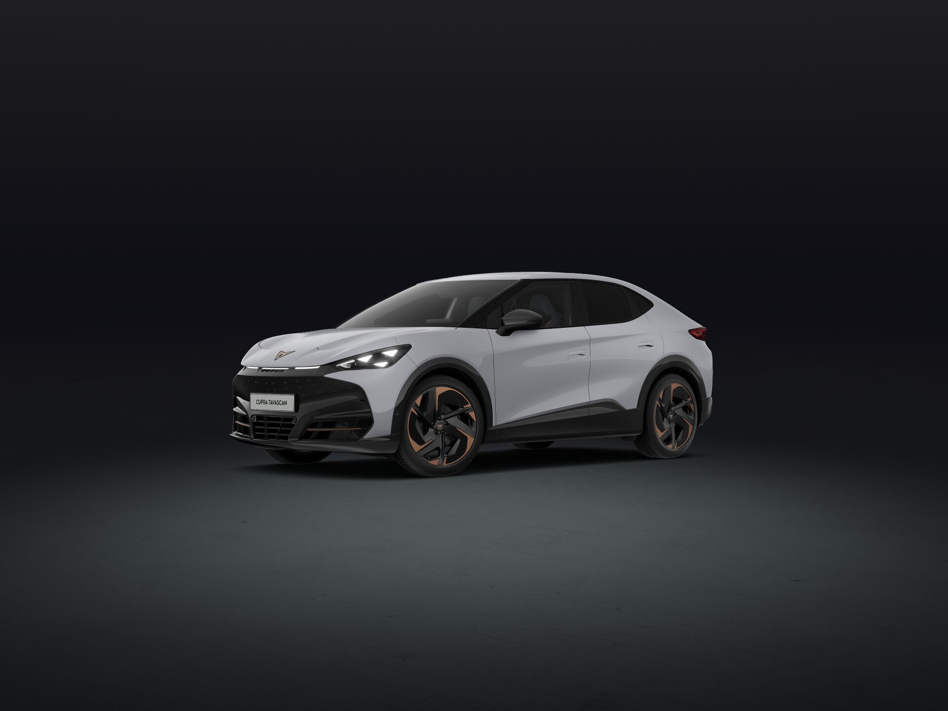 Bild eines Tavascan VZ Adrenaline 4Drive250kW/340PS
