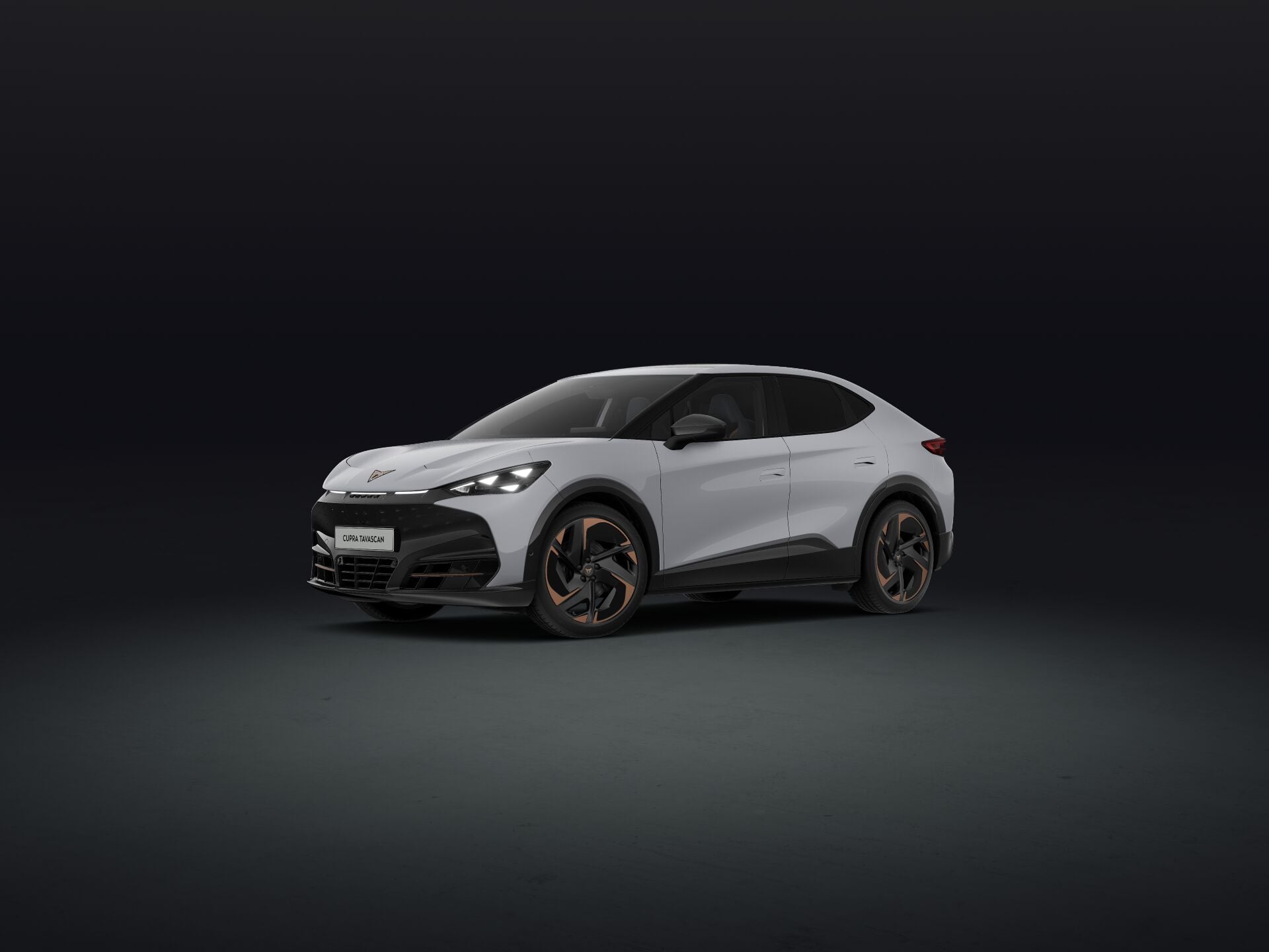 Bild eines Tavascan VZ Adrenaline 4Drive250kW/340PS