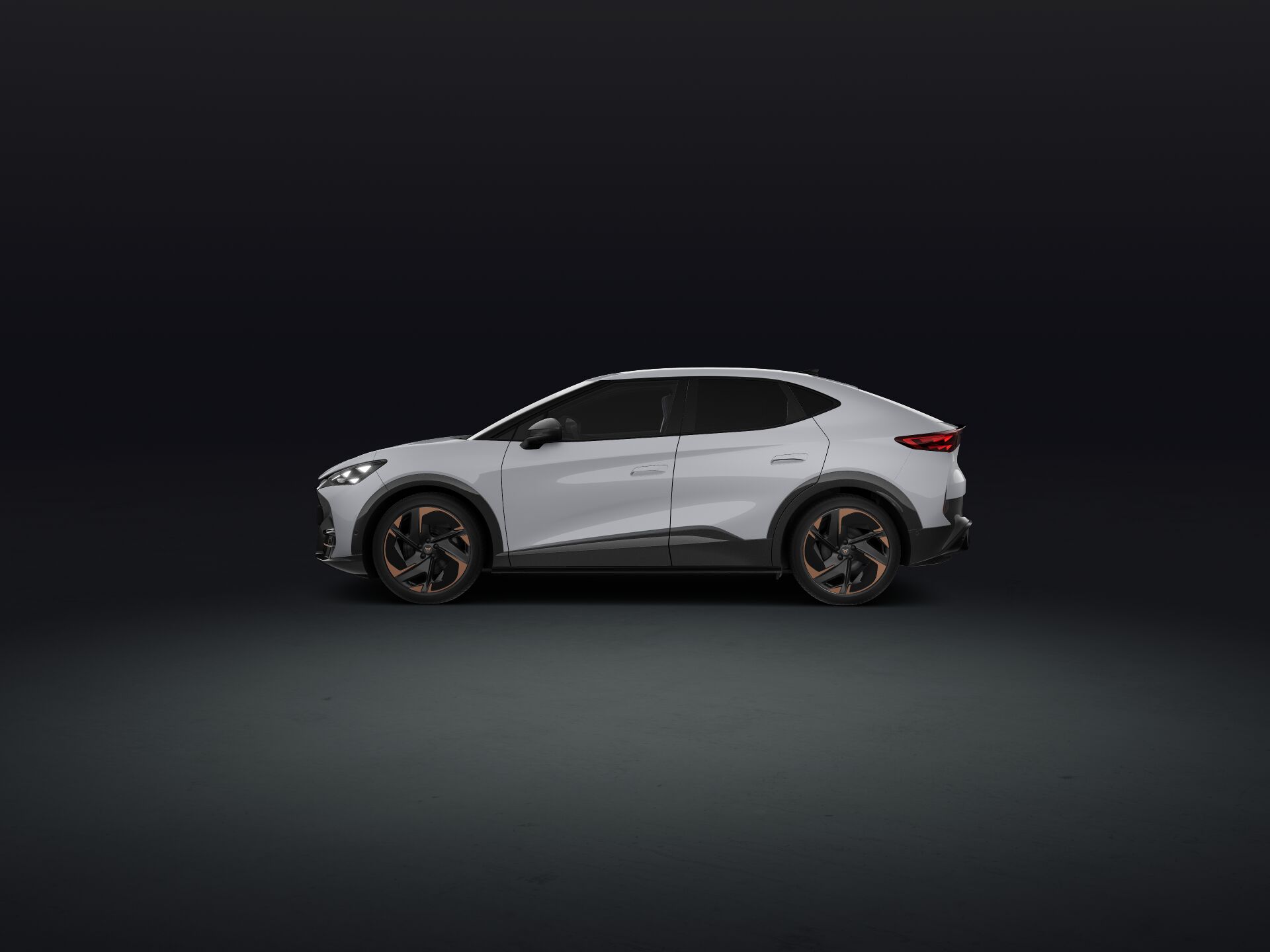 Bild eines Tavascan VZ Adrenaline 4Drive250kW/340PS