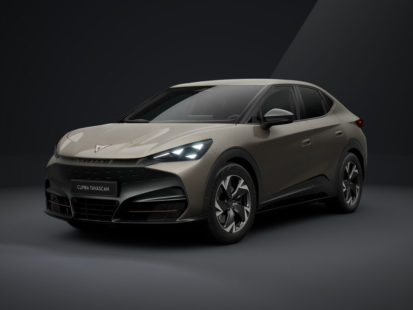 Bild eines Tavascan Drive 77 210kW/286PS