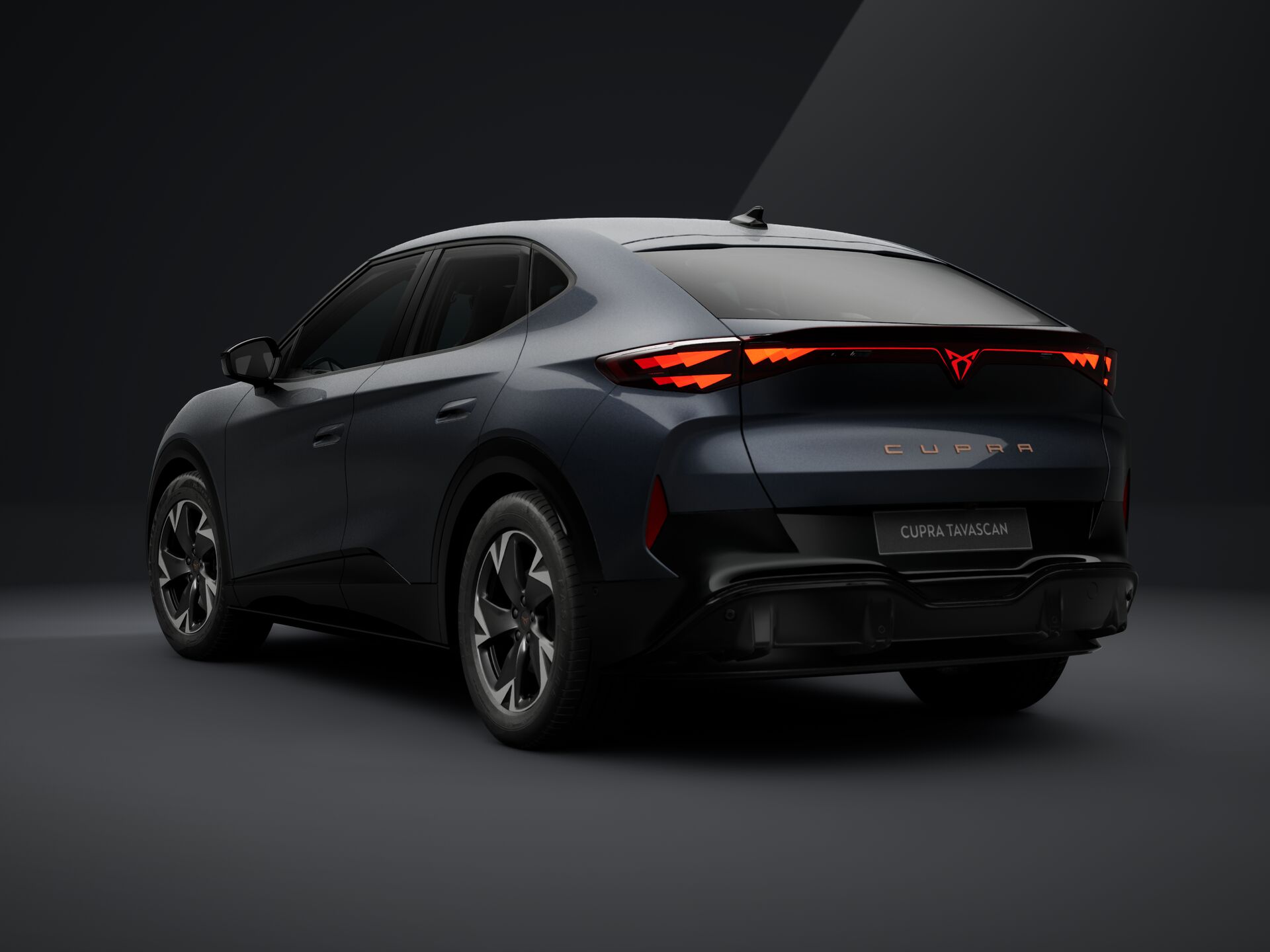 Bild eines Tavascan Drive 77 210kW/286PS