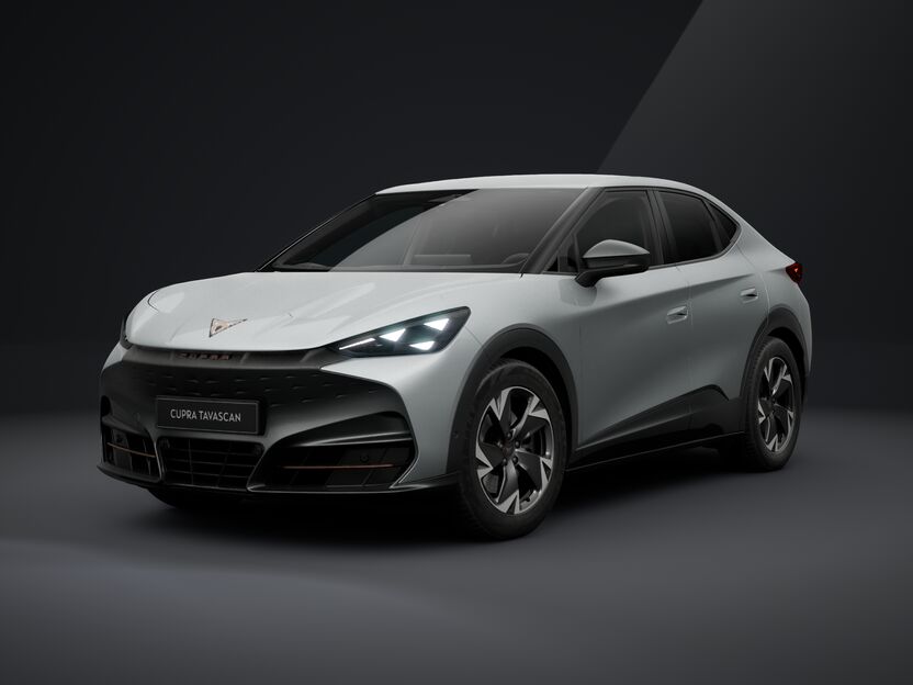 Bild eines Tavascan Drive 77 210kW/286PS