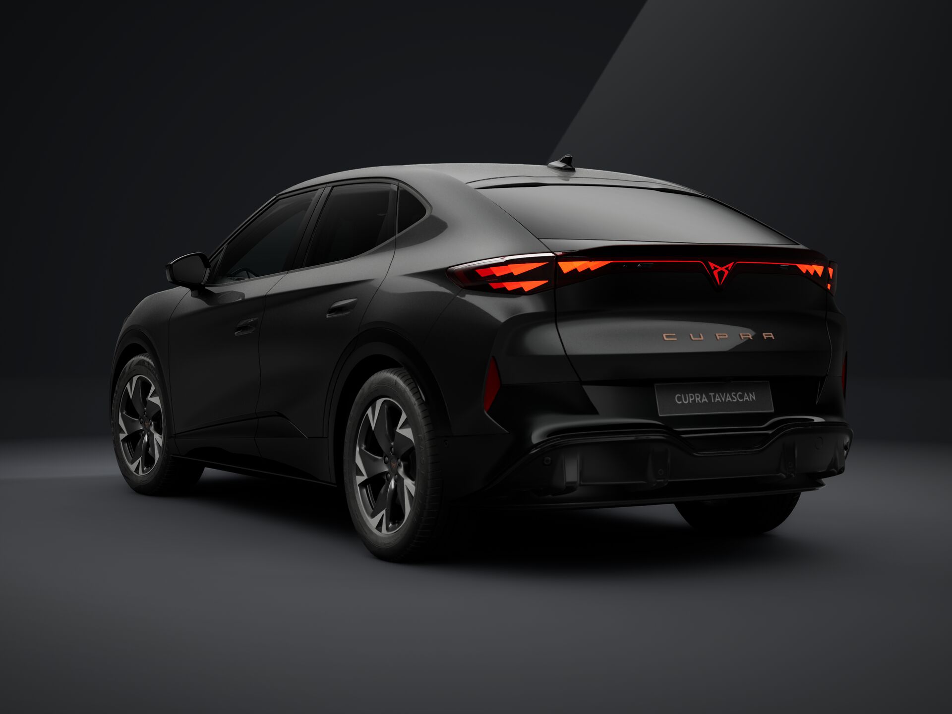 Bild eines Tavascan Drive 77 210kW/286PS